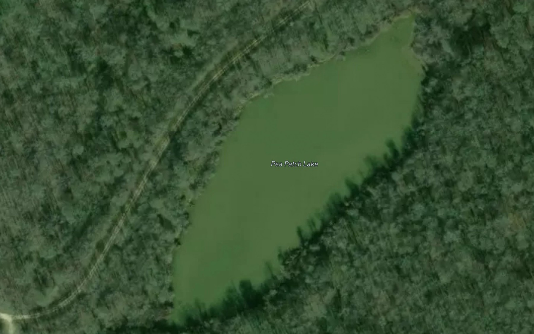 Satellite map of the Pea Patch Lake