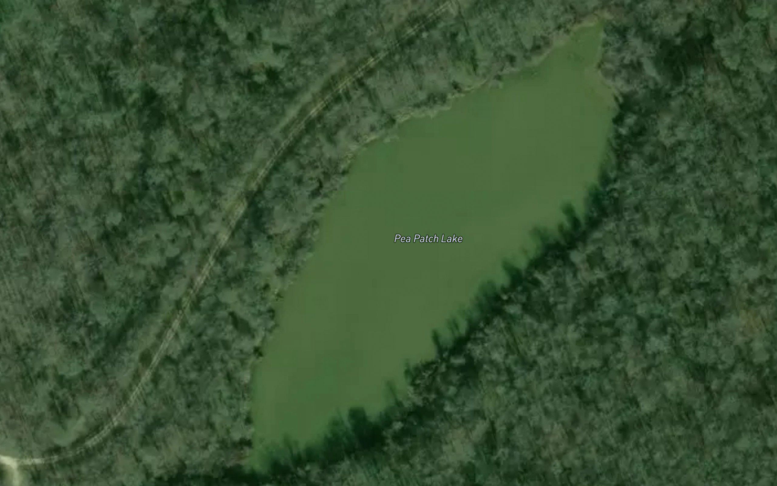Pea Patch Lake