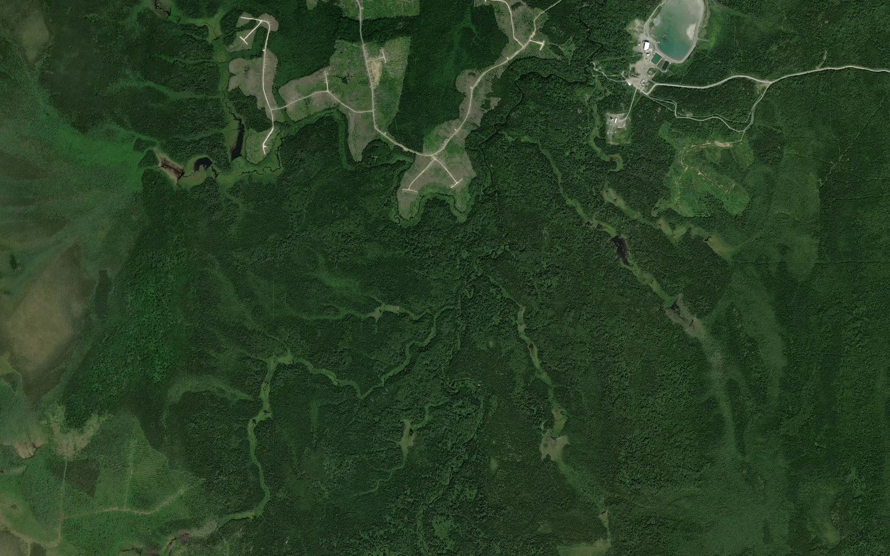 Satellite map of the Kennedy Creek