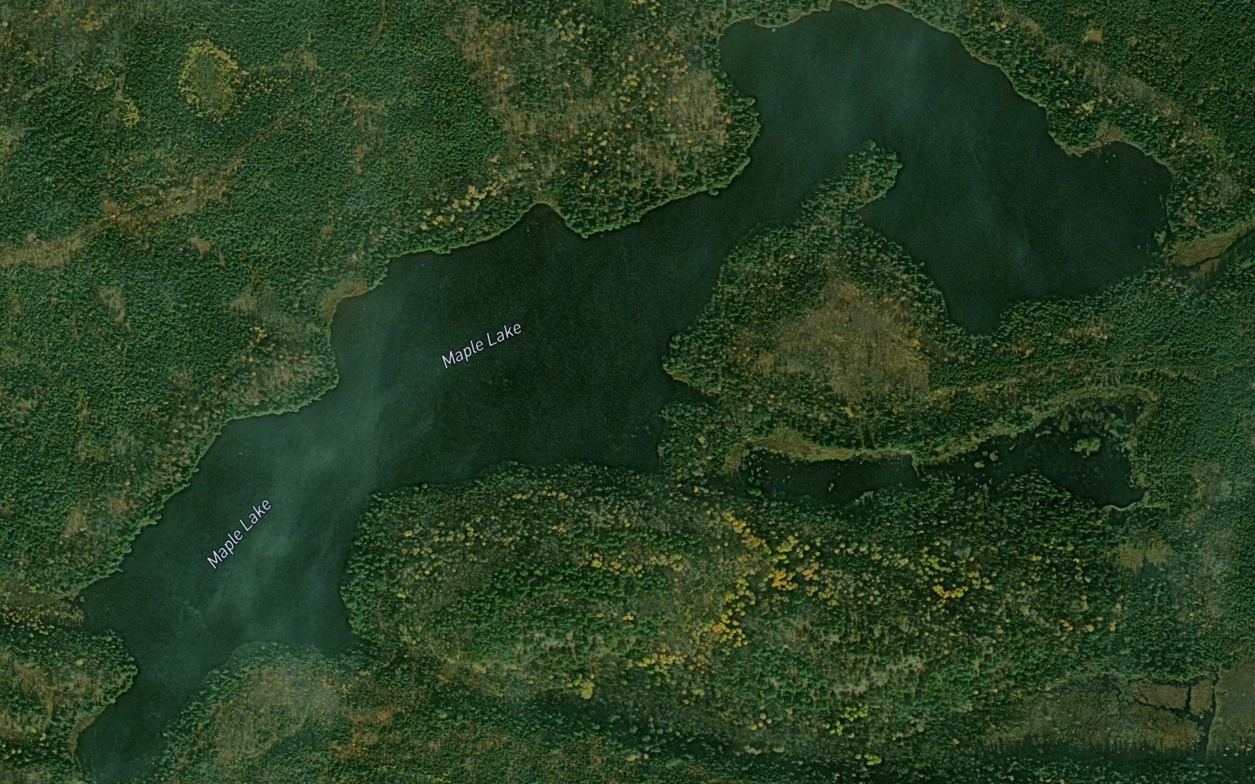 Satellite map of the Maple Lake