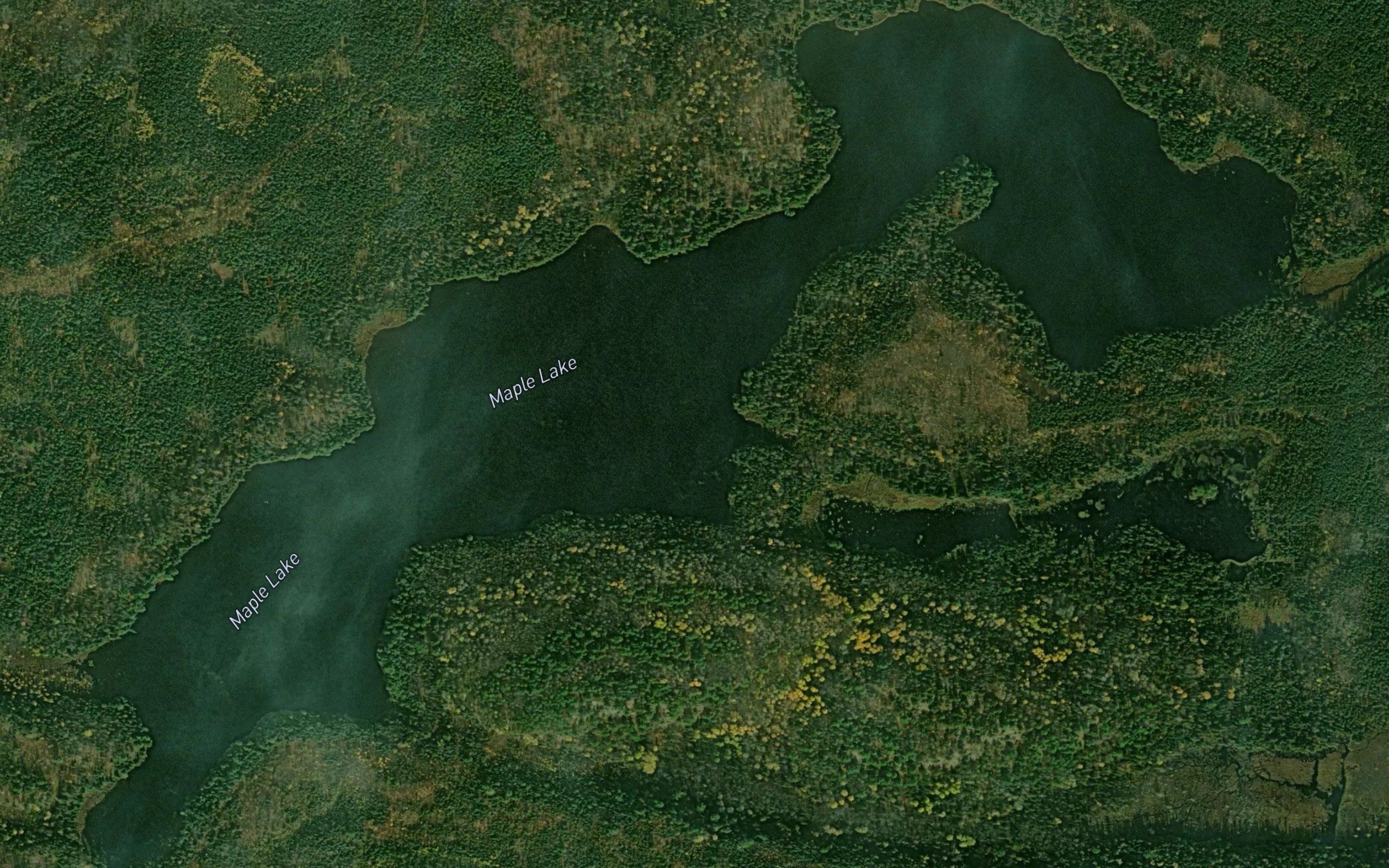 Maple Lake