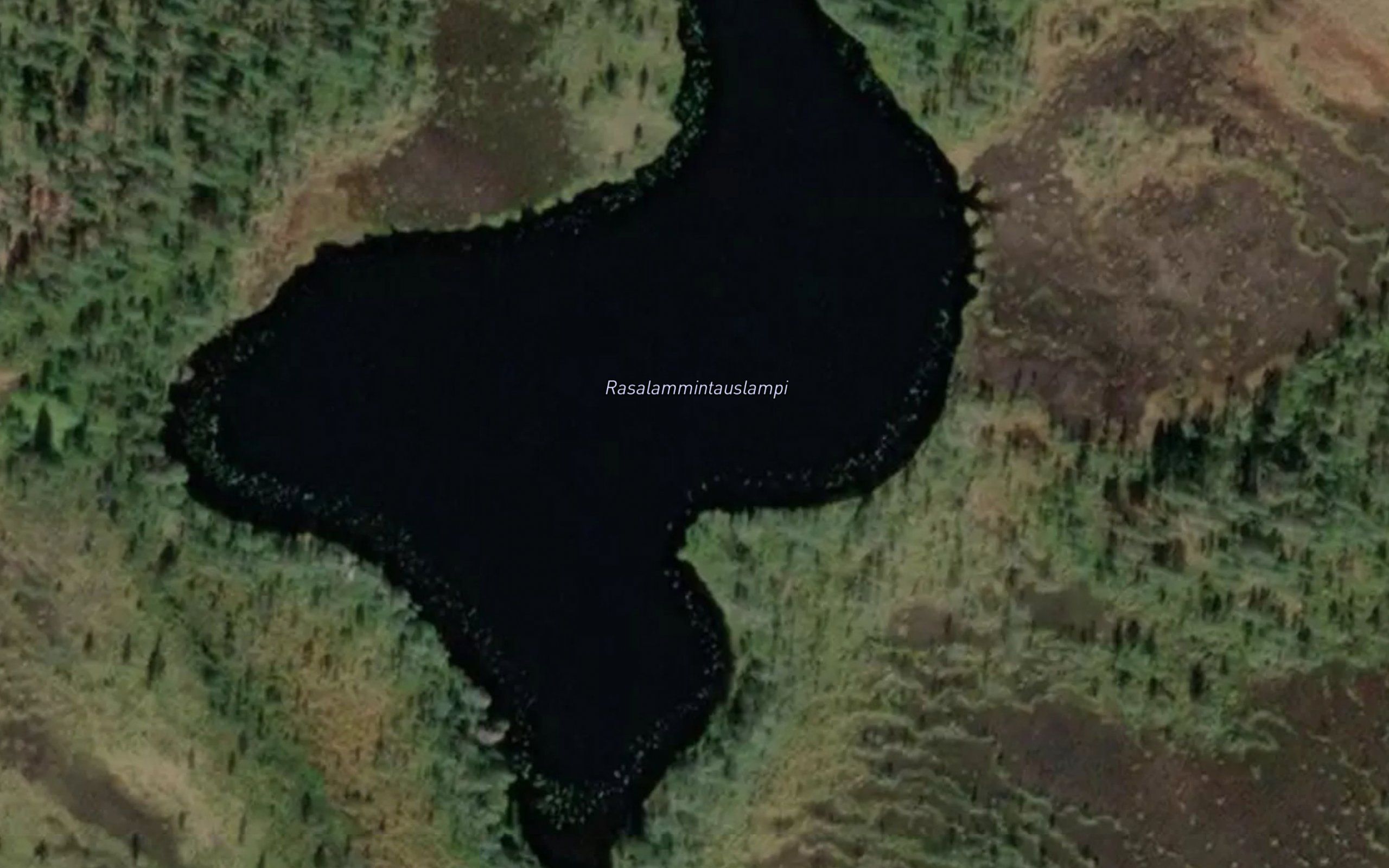 Rasalammintauslampi