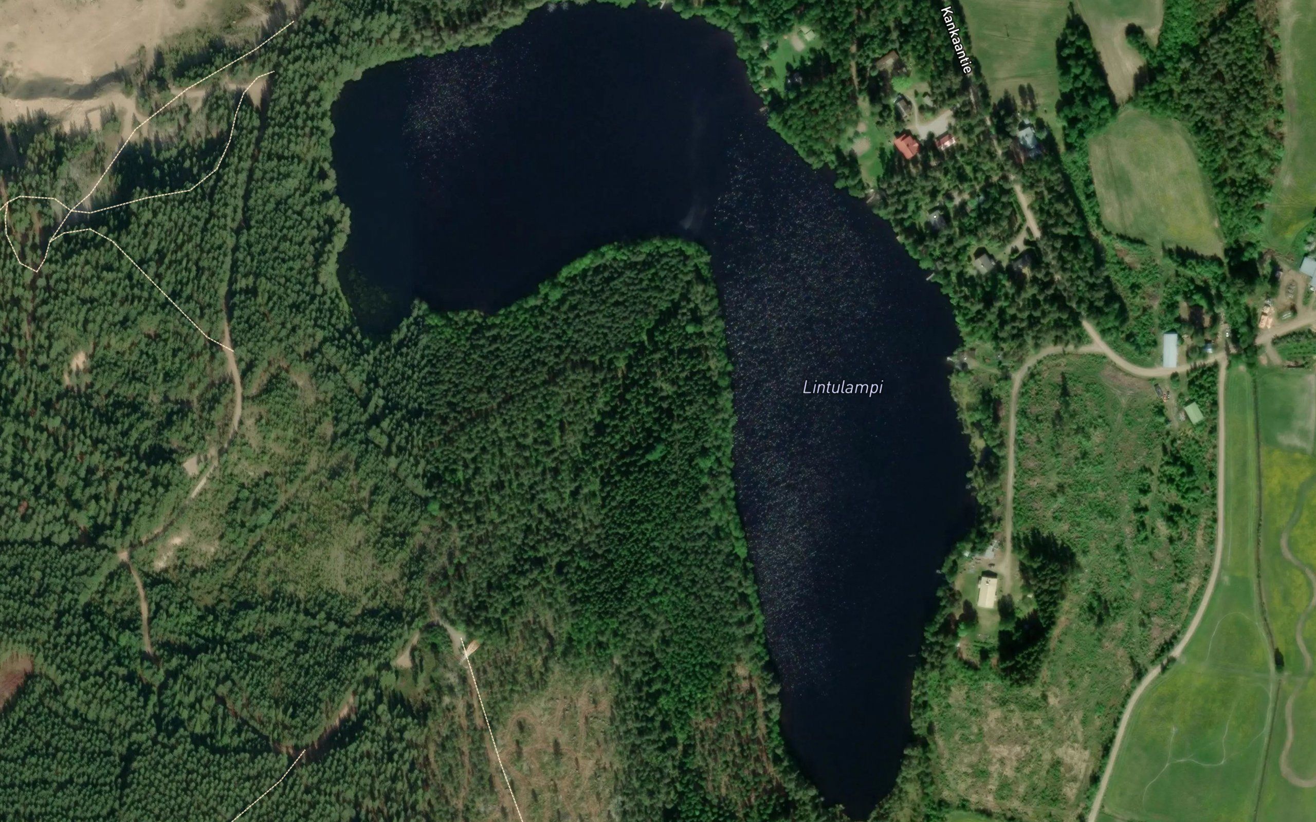 Lintulampi