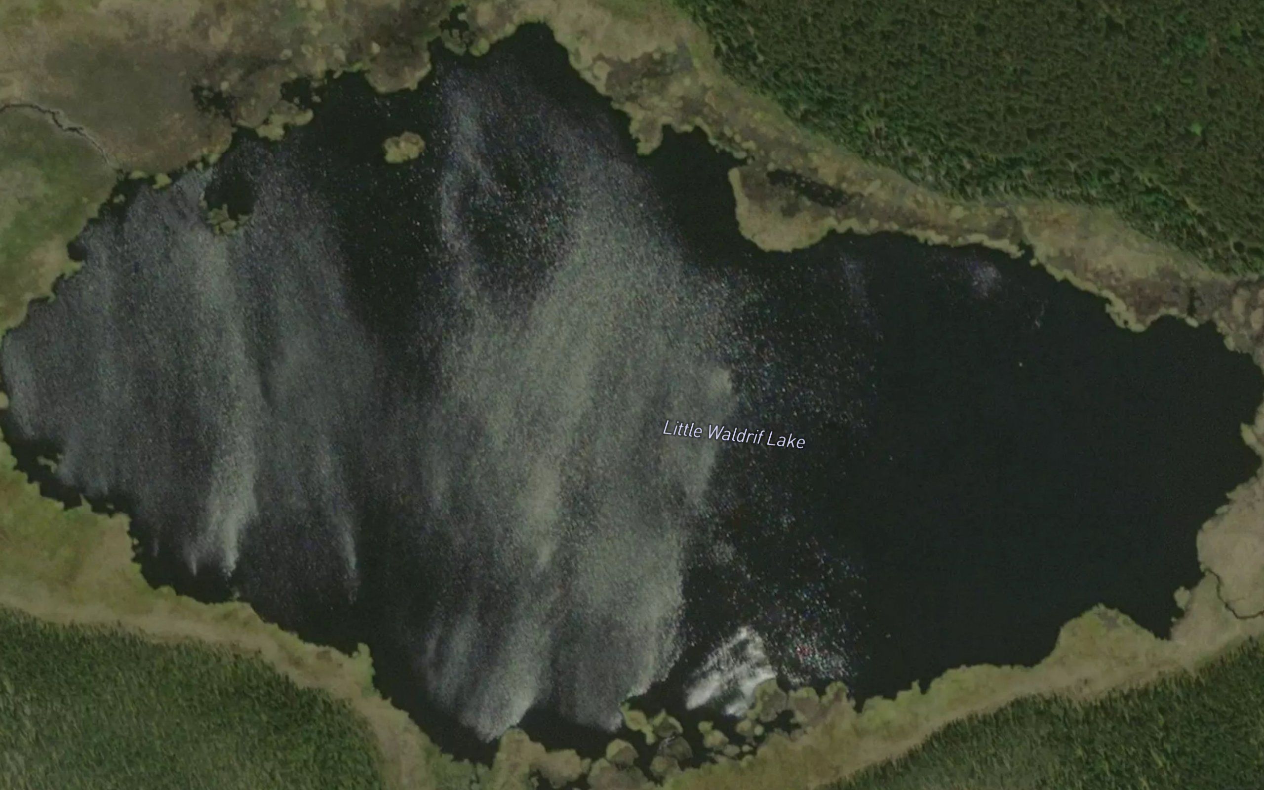 Little Waldrif Lake