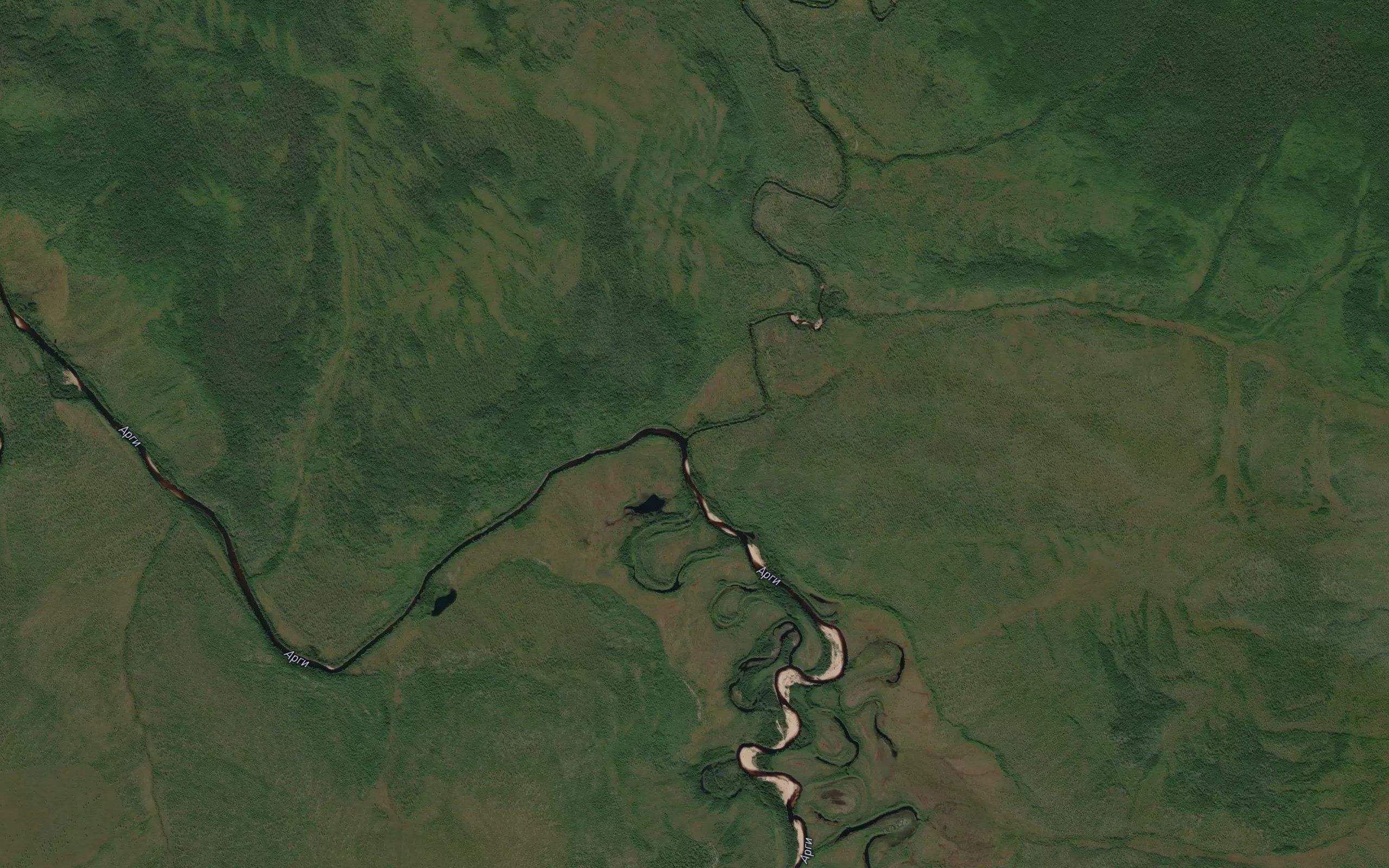 Kolbachi