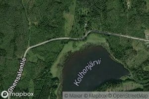 Pilkkapuru