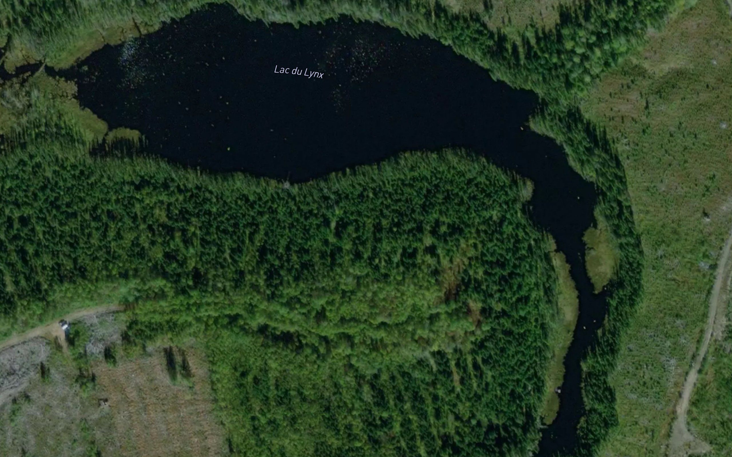 Lac du Lynx