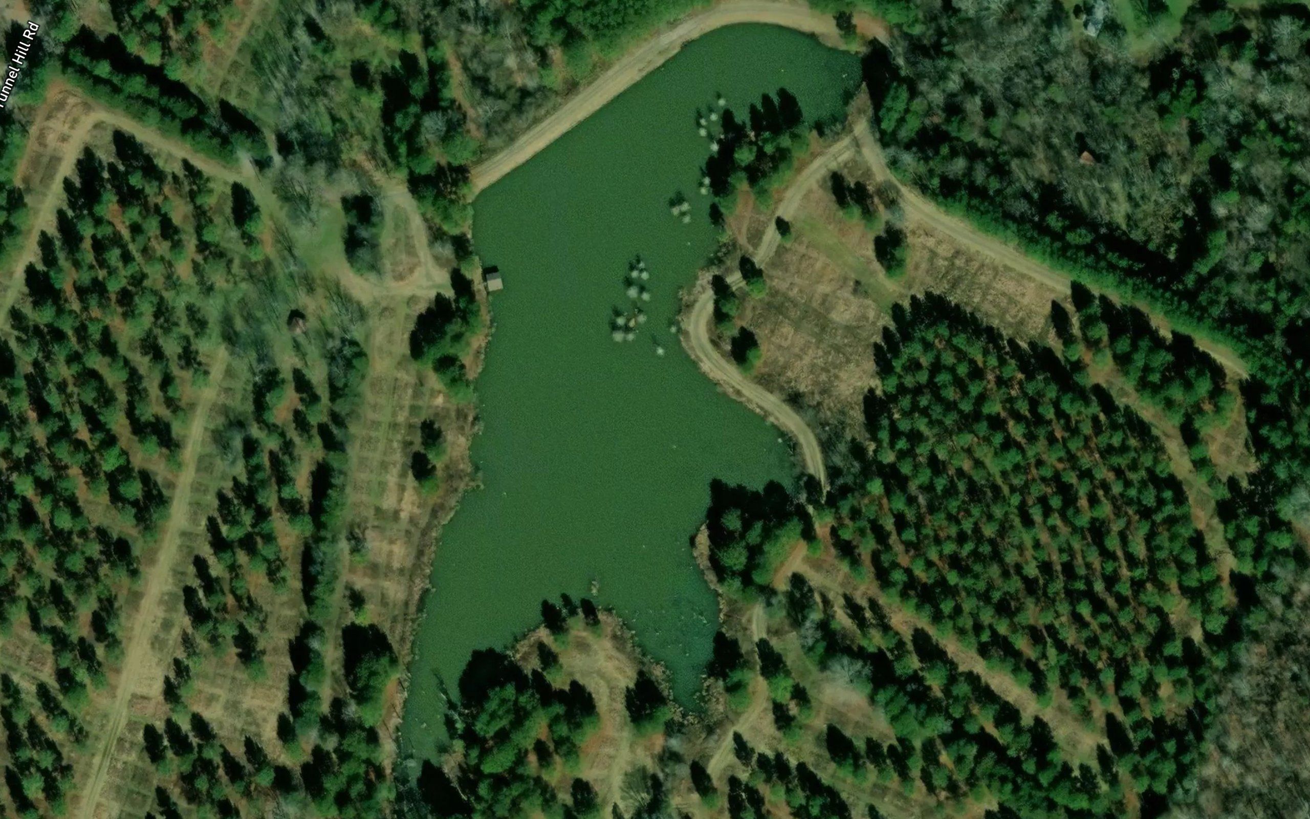 Davis Lake