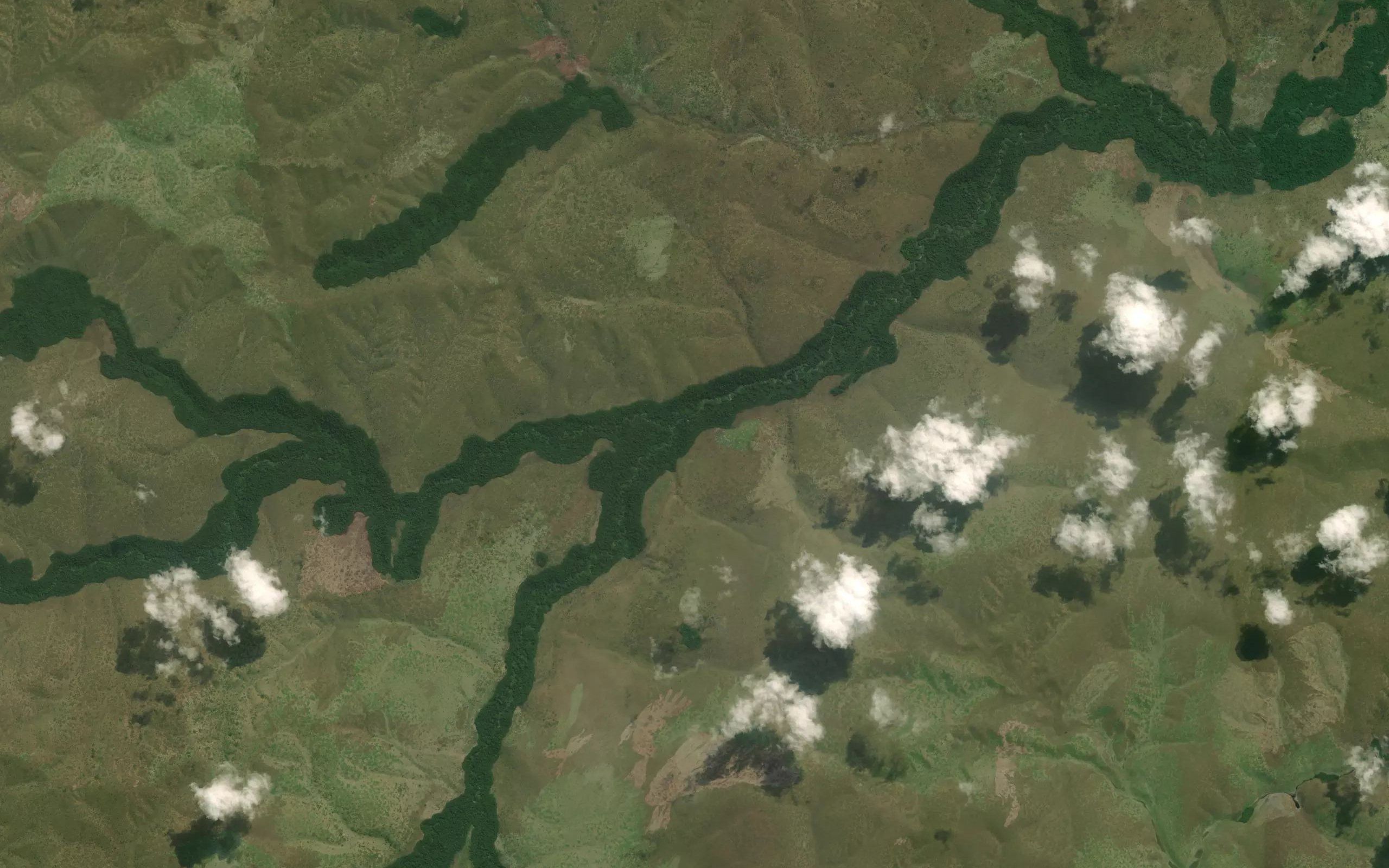 Mitete