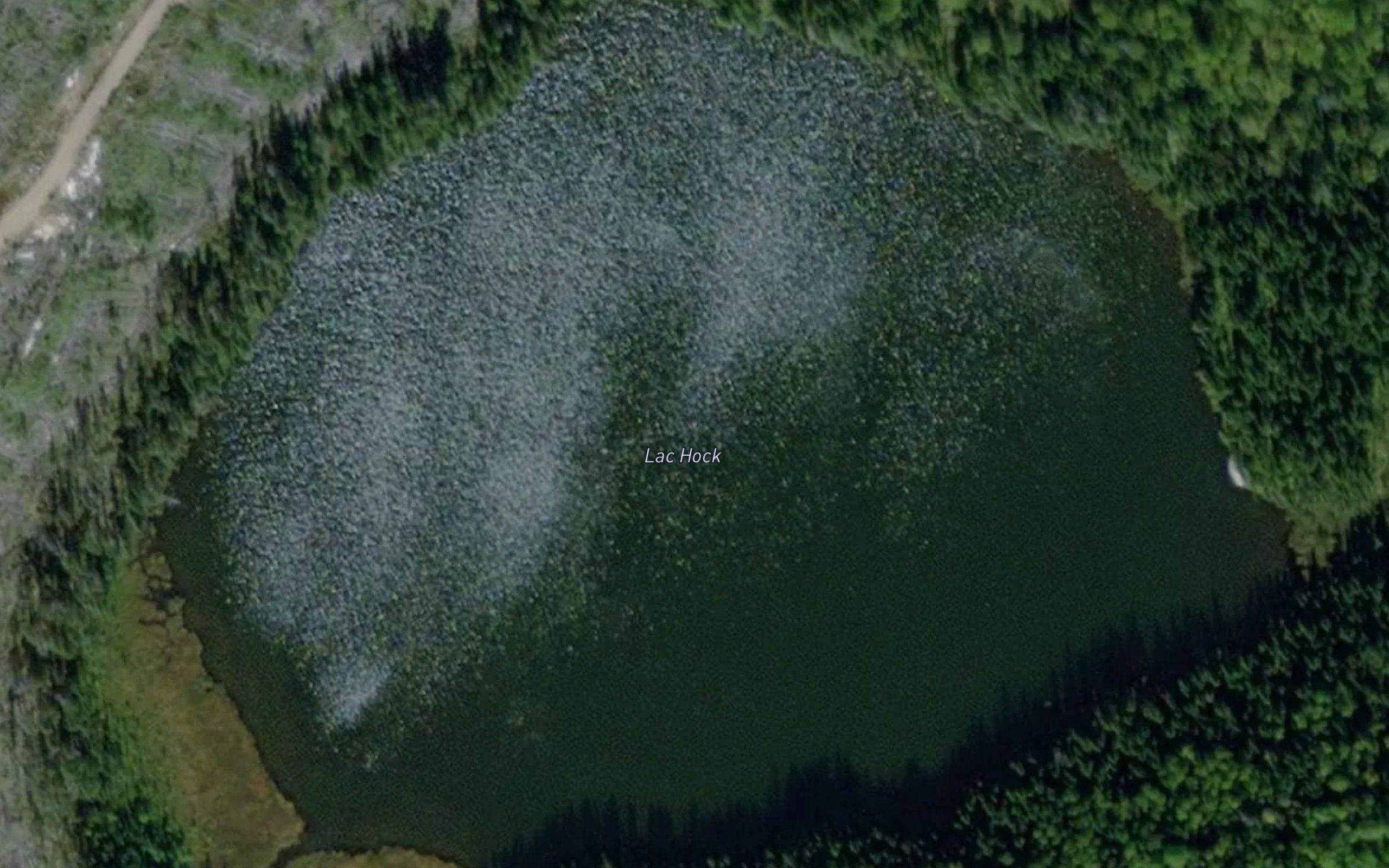 Lac Hock