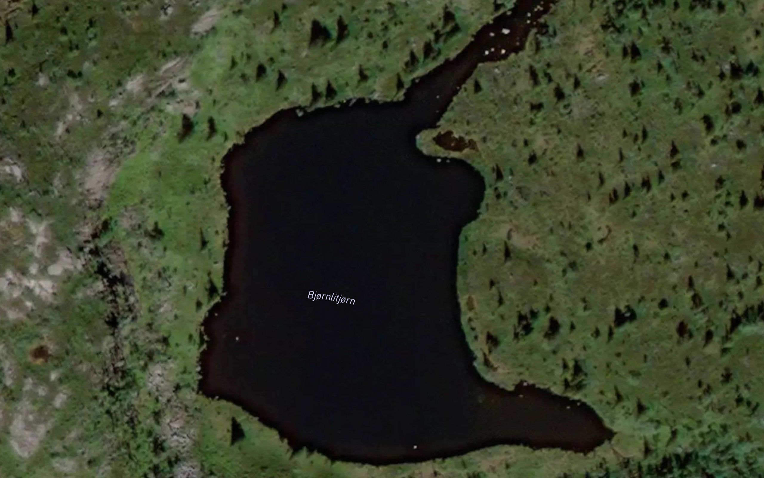 Bjornlitjorn