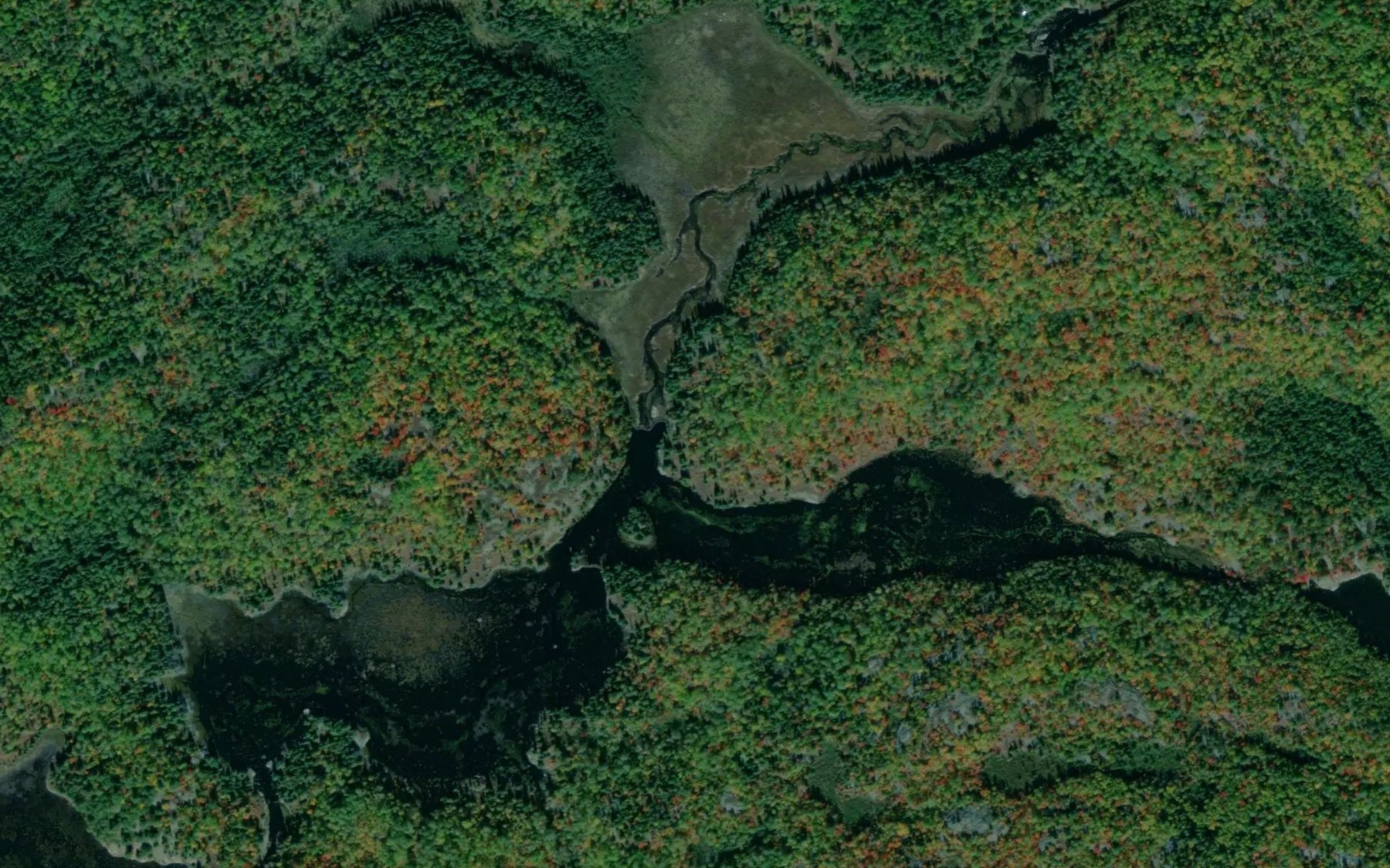 Satellite map of the Burnett Lake