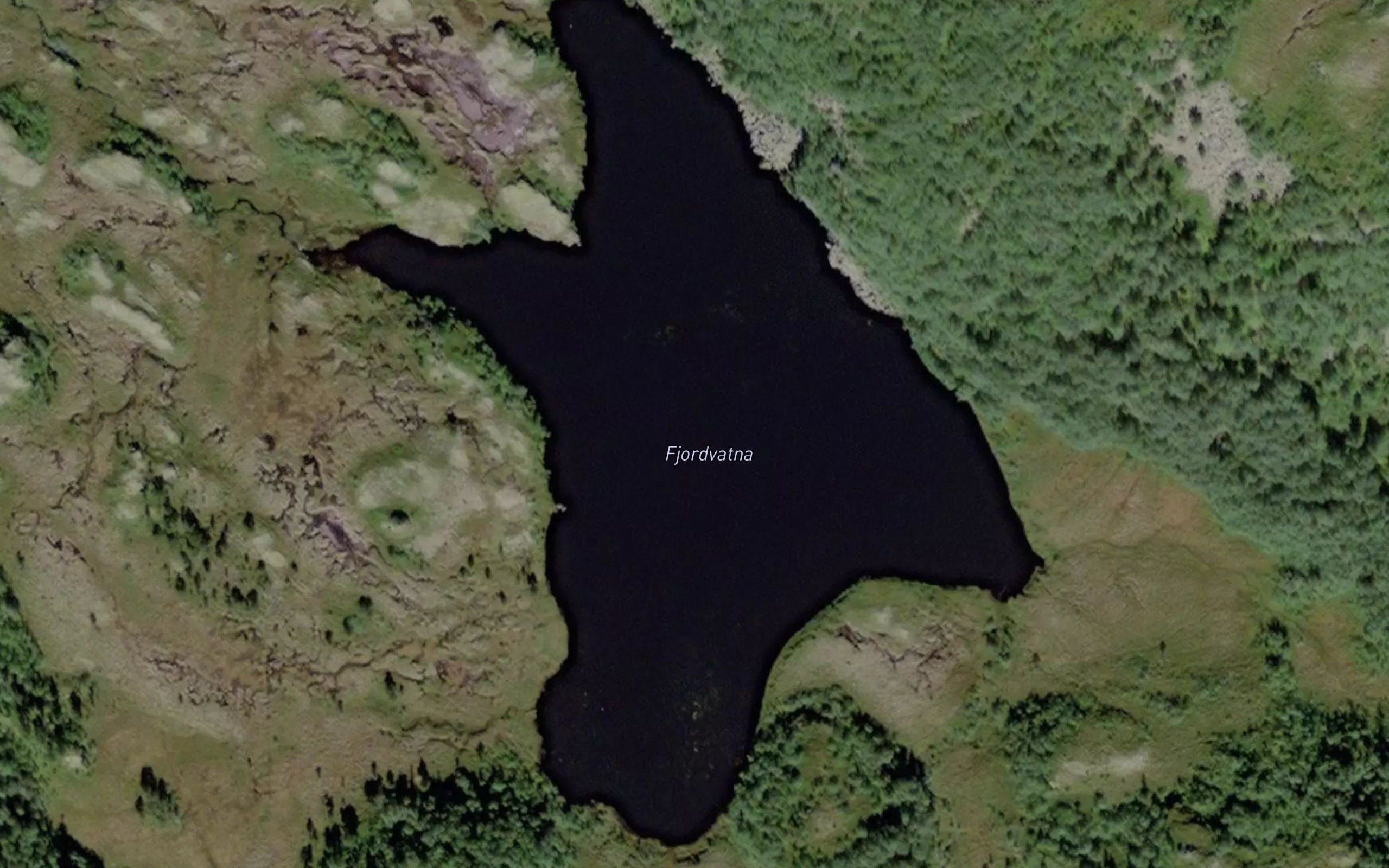 Fjordvatna