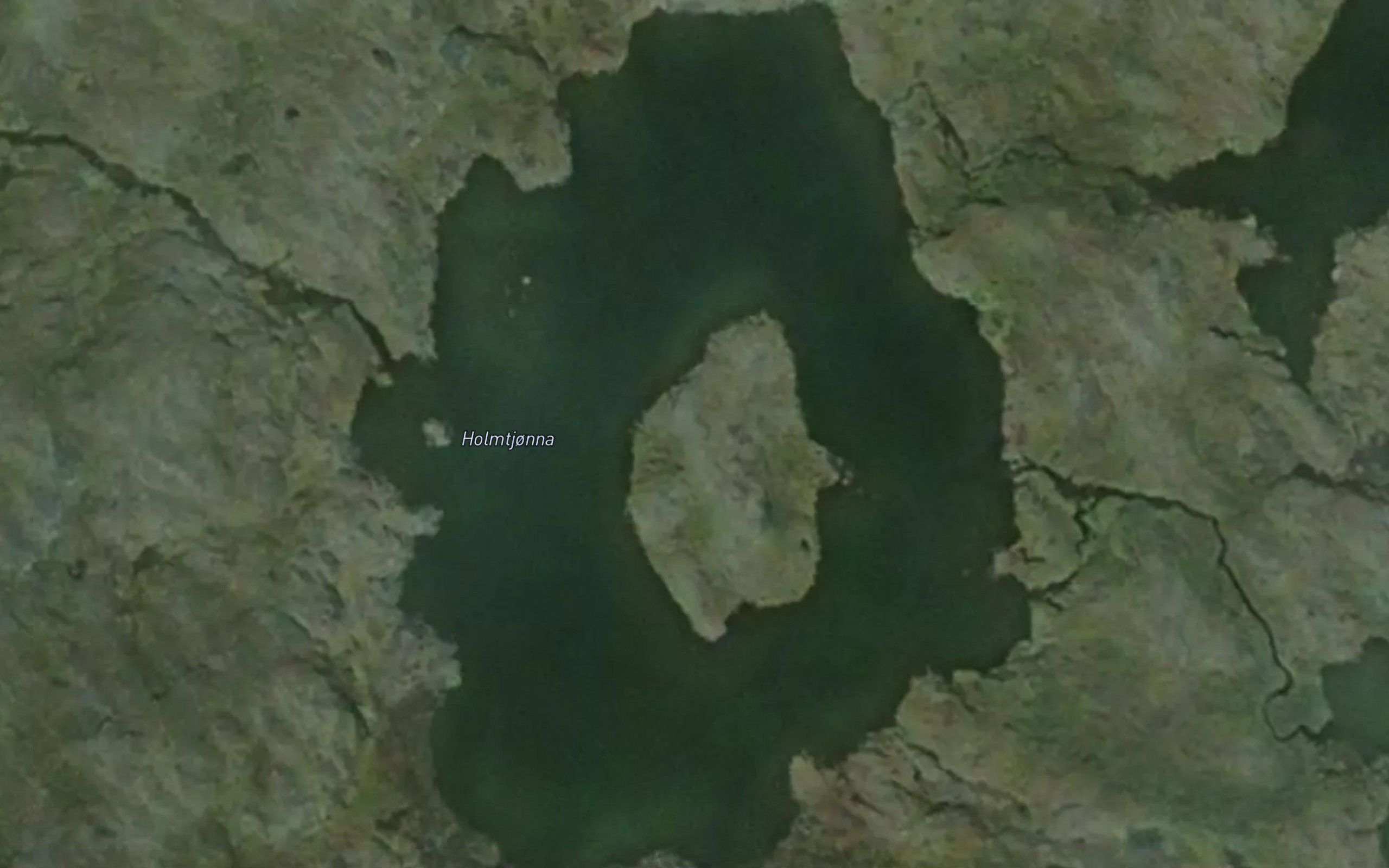 Holmtjorna