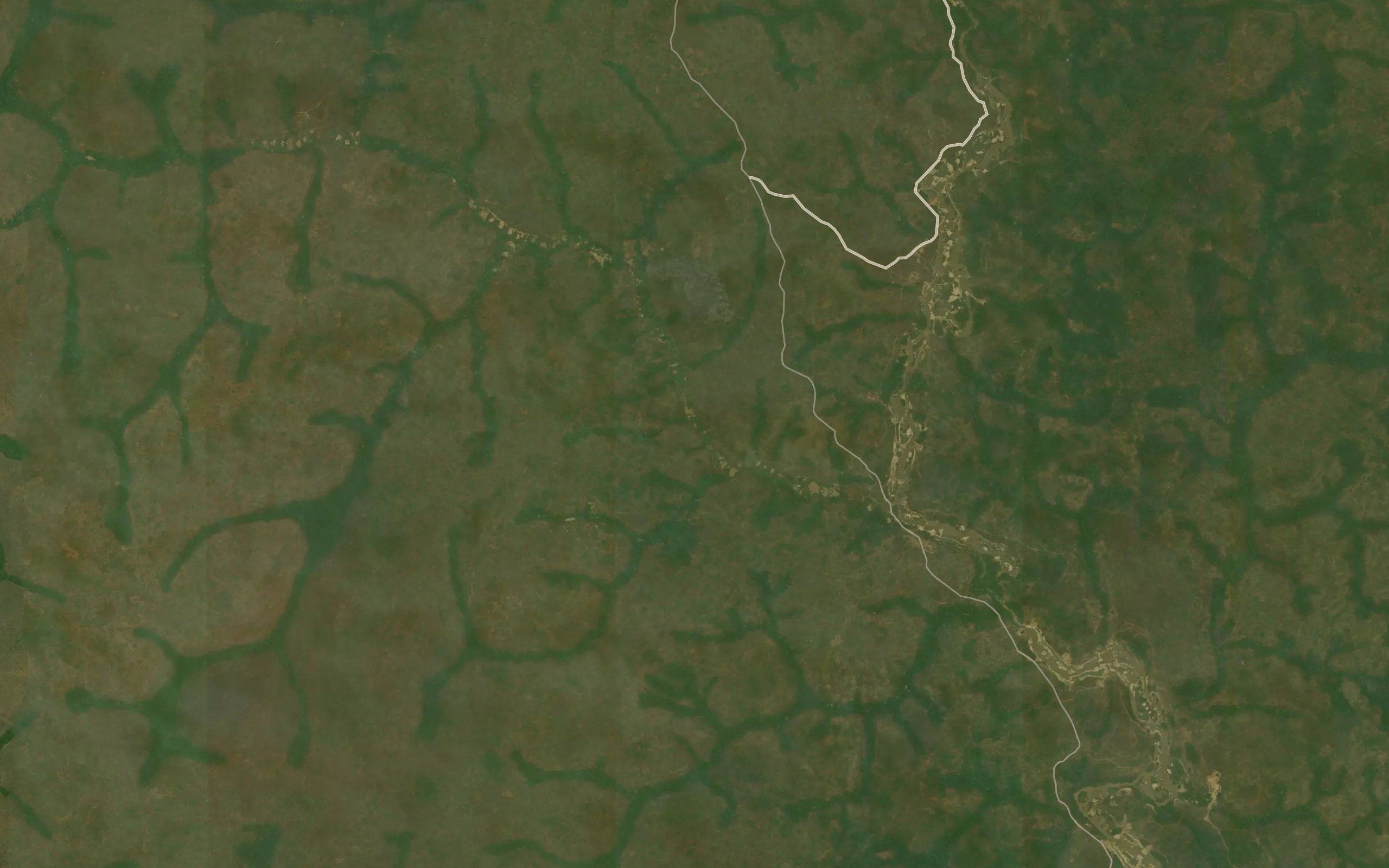 Ngali