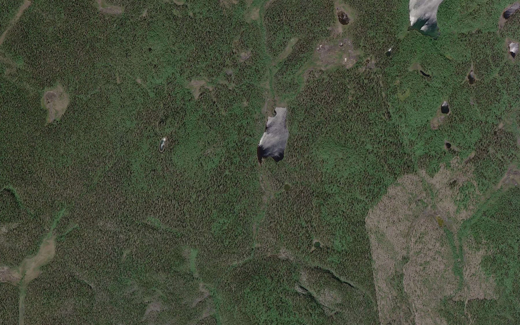Satellite map of the Tammukkajarvenoja