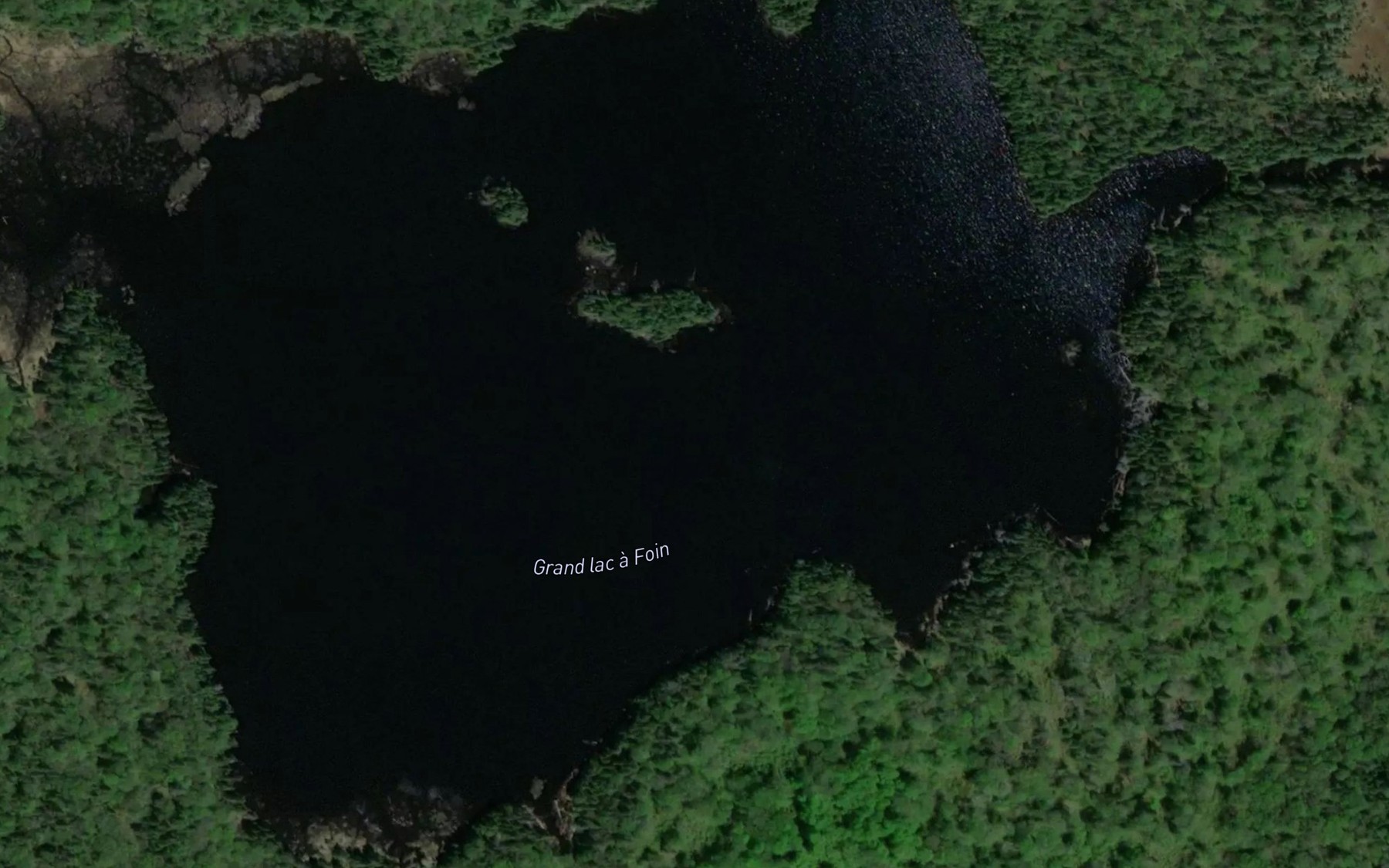 Satellite map of the Grand lac a Foin