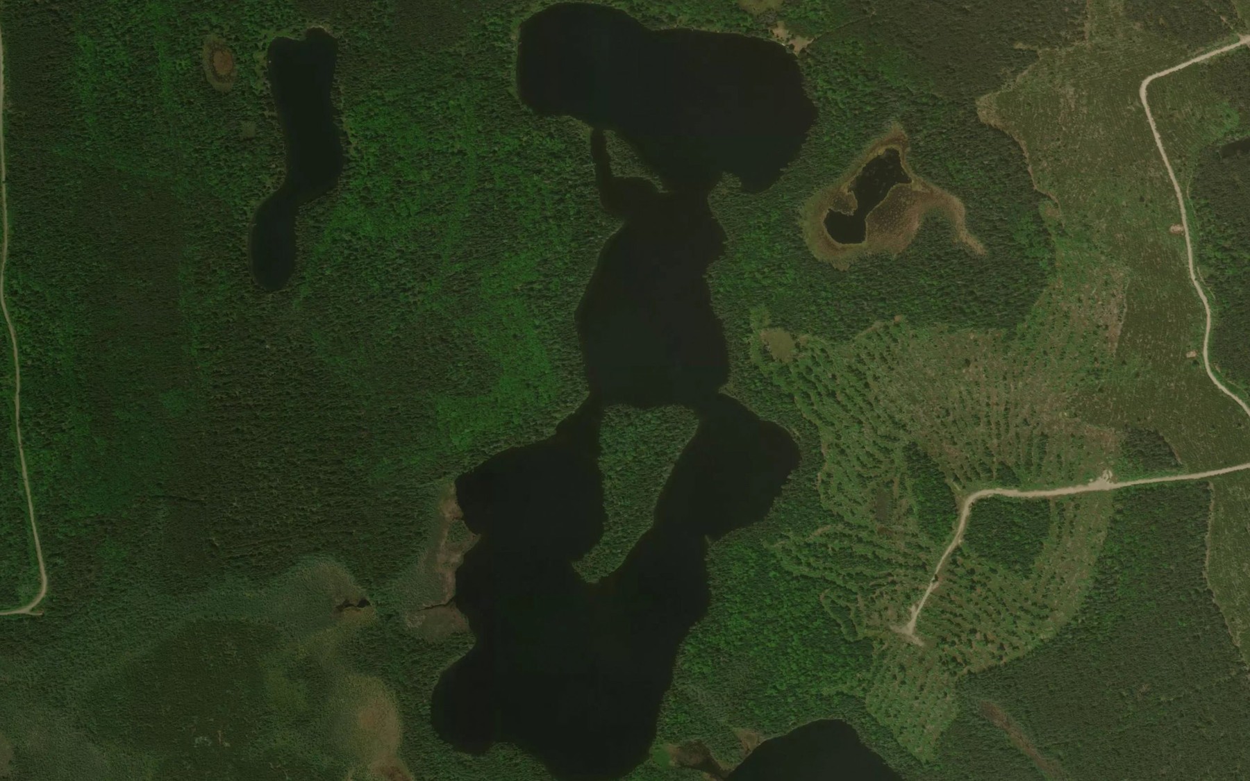 Satellite map of the Vrooman Lake