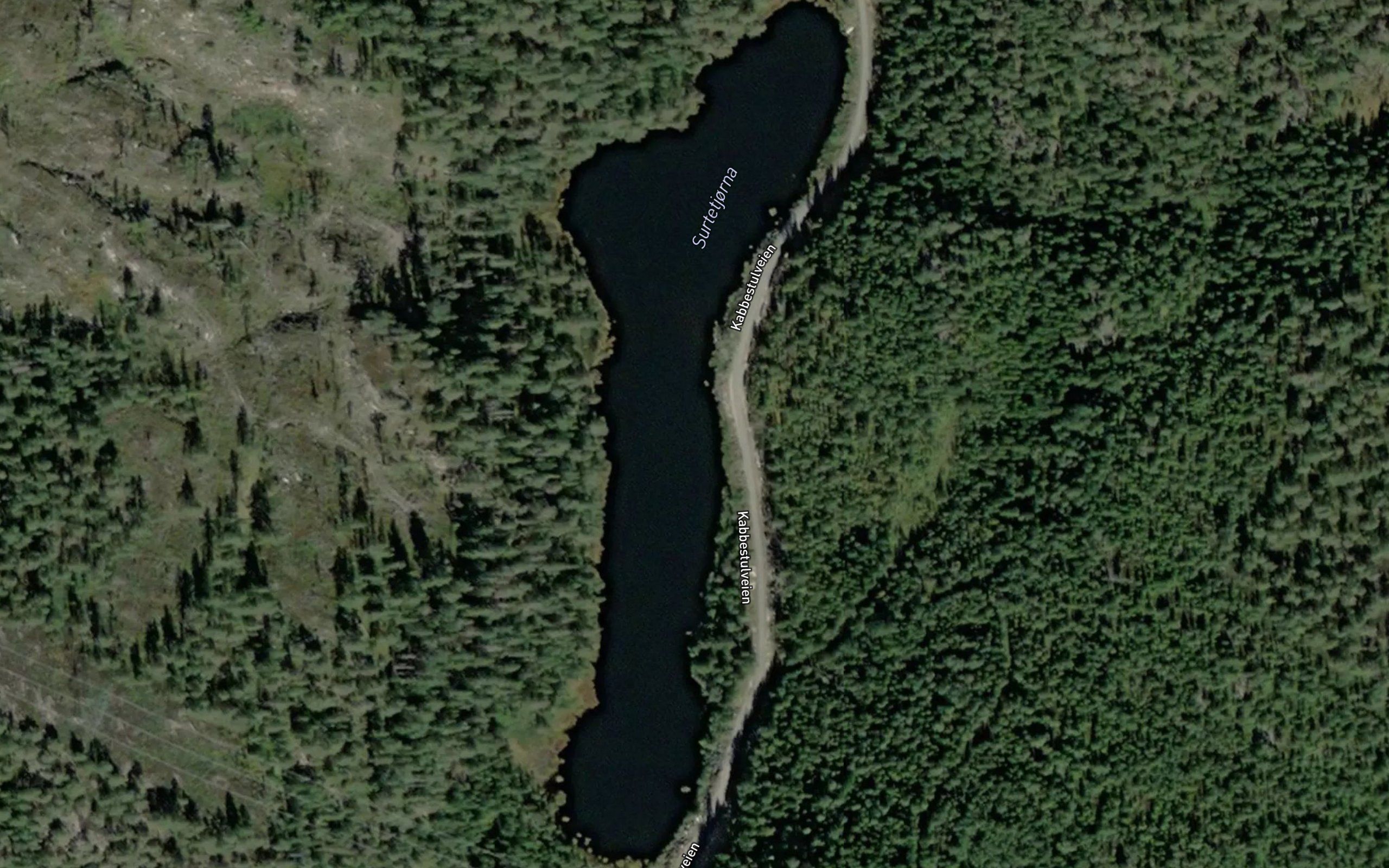 Surtetjorna