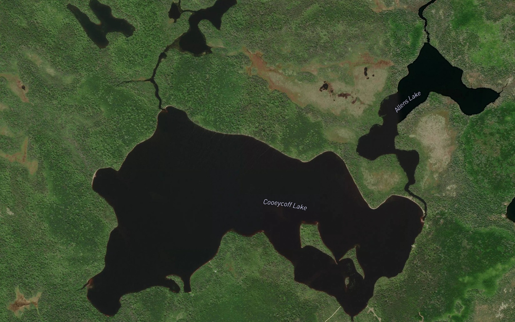 Satellite map of the Cooeycoff Lake