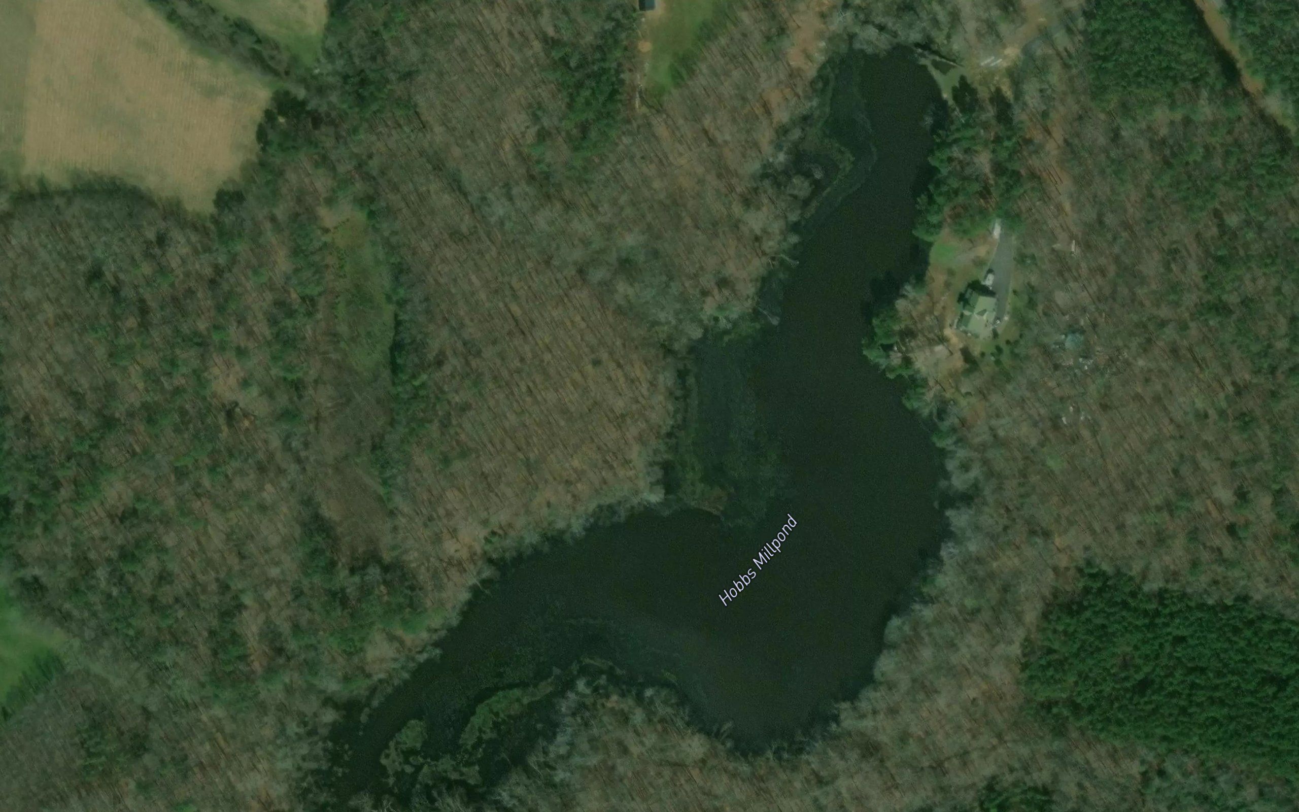 Hobbs Millpond