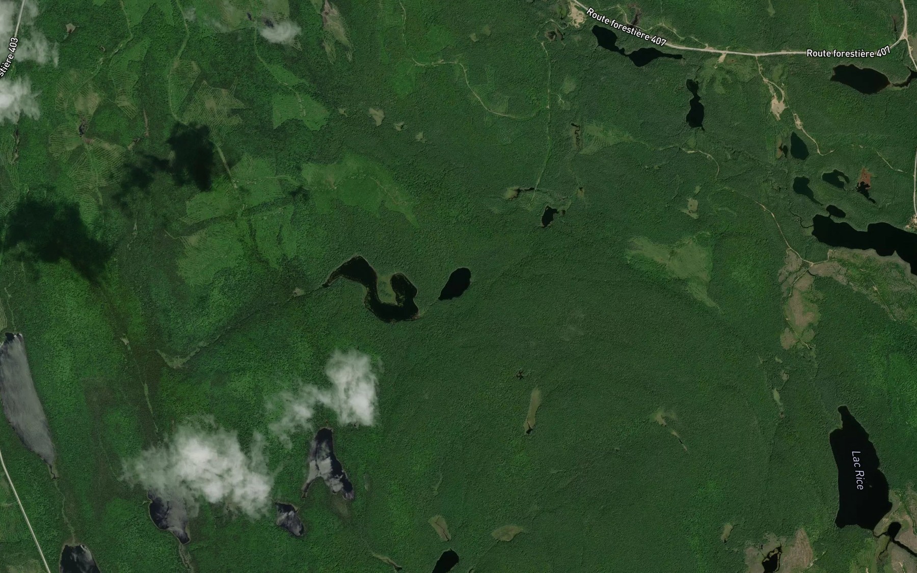 Satellite map of the Lac Maskwa Kawacakameatakaskopatatc