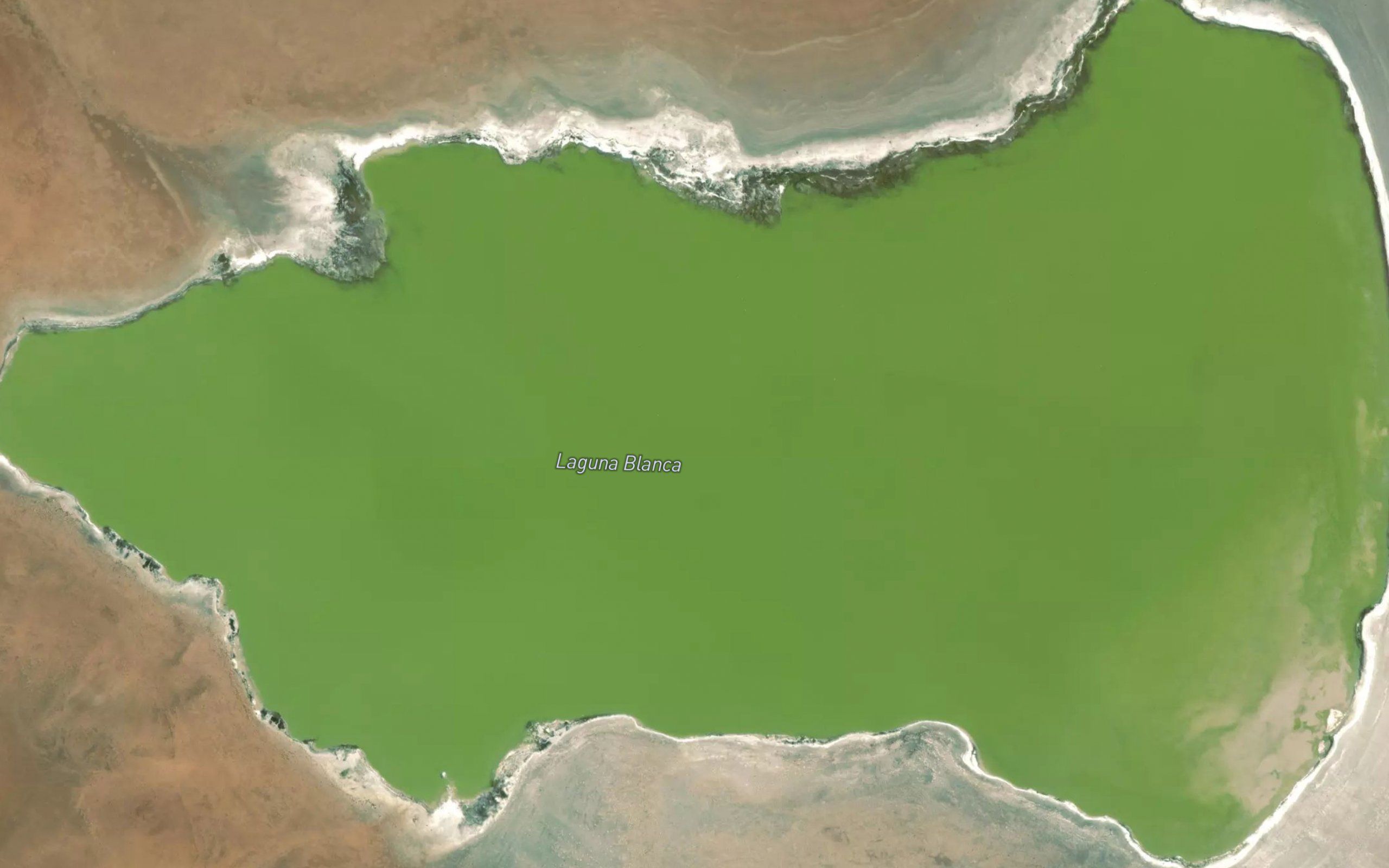 Laguna Blanca