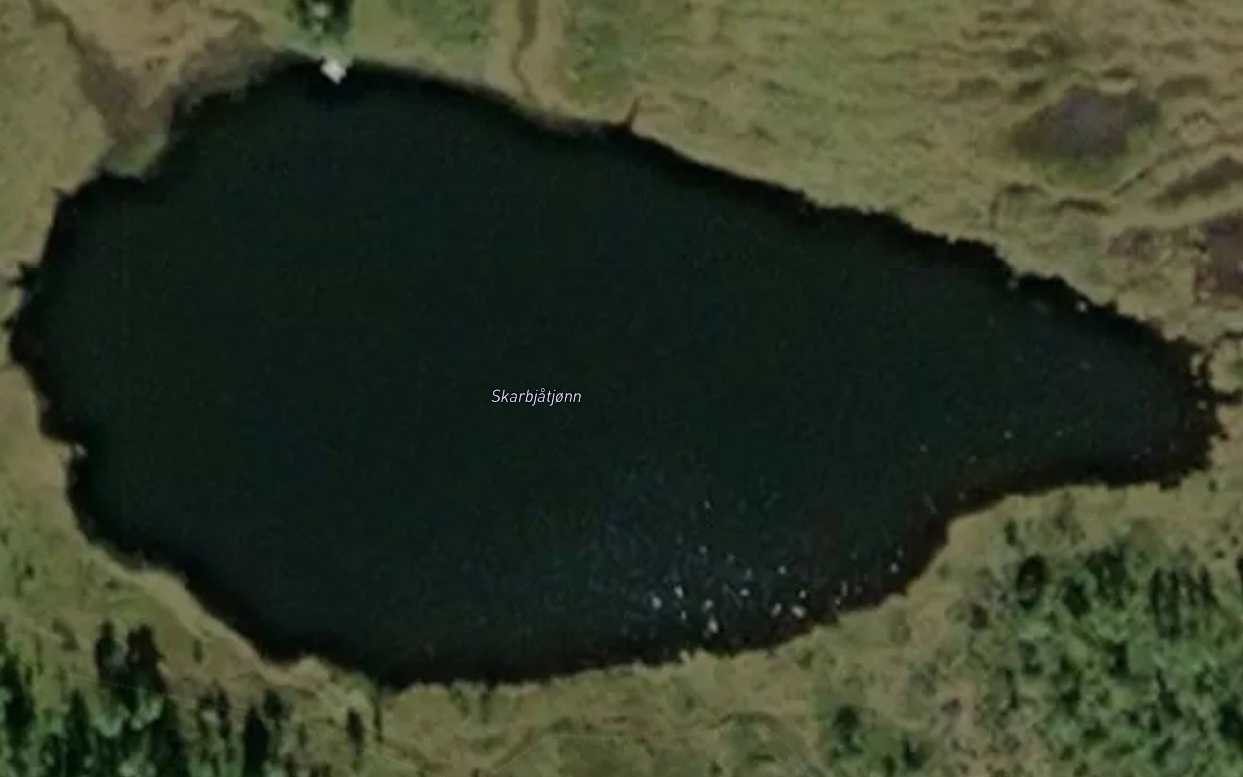 Skardbjatjorni