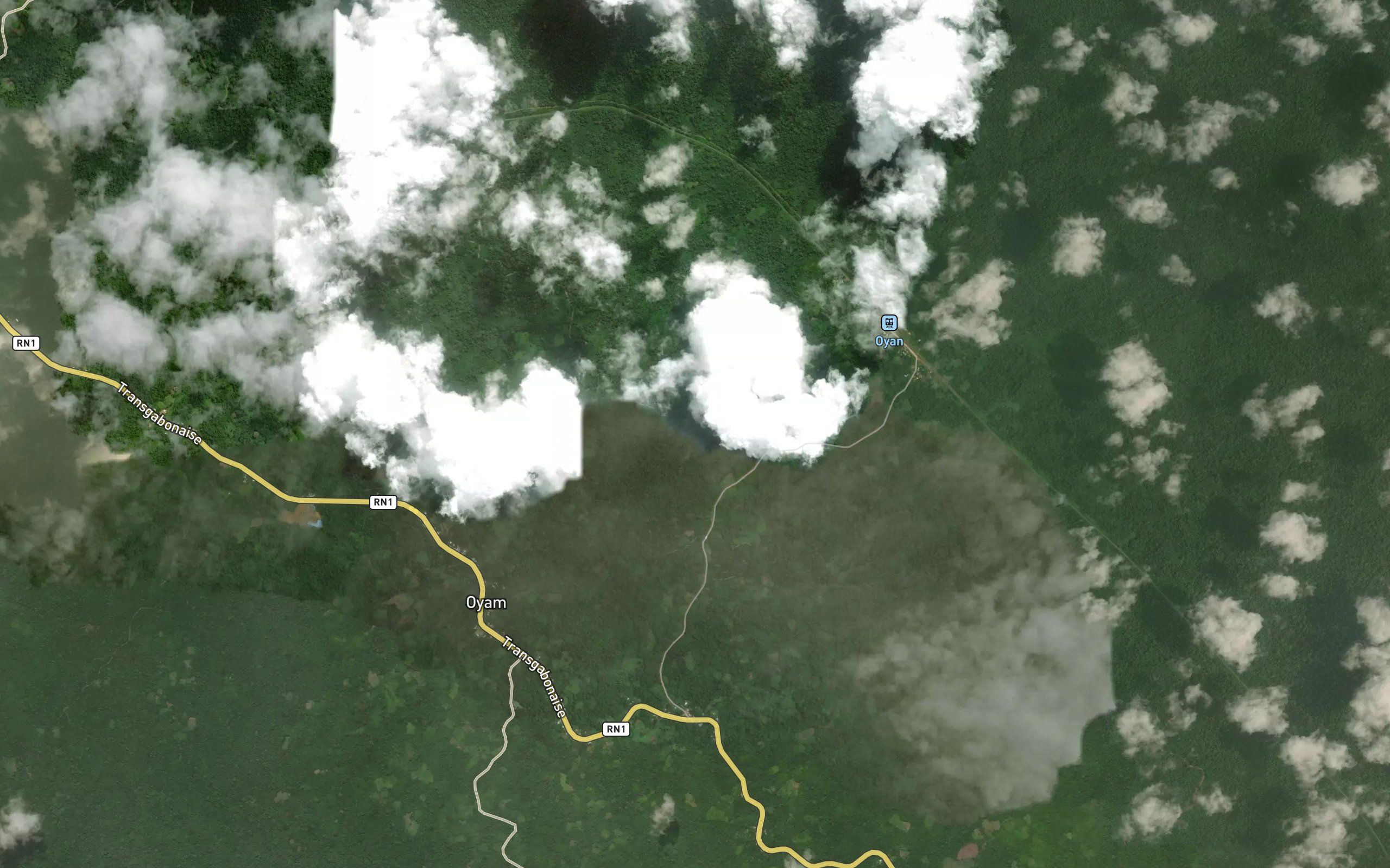 Banvora