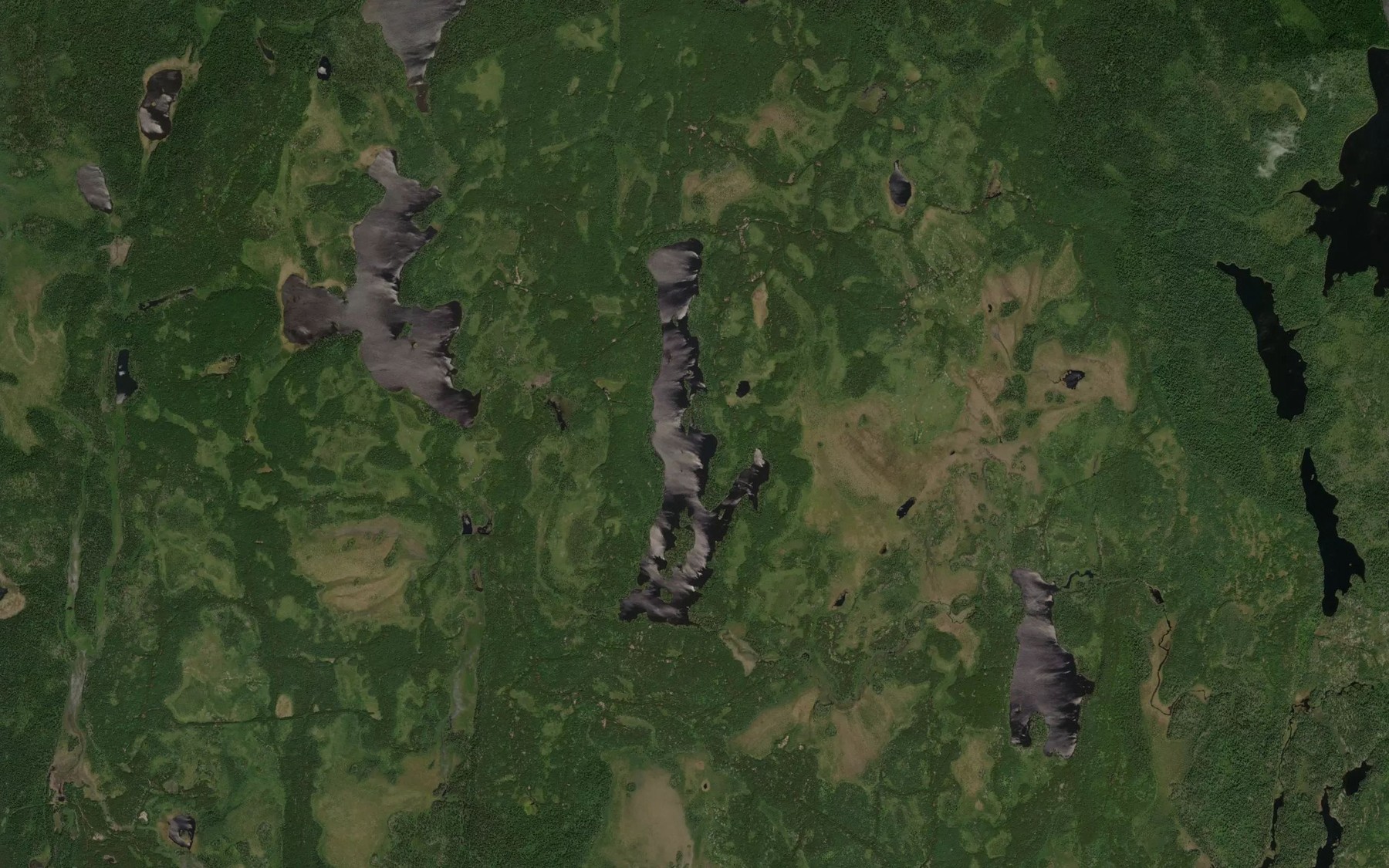 Satellite map of the Cramp Lake