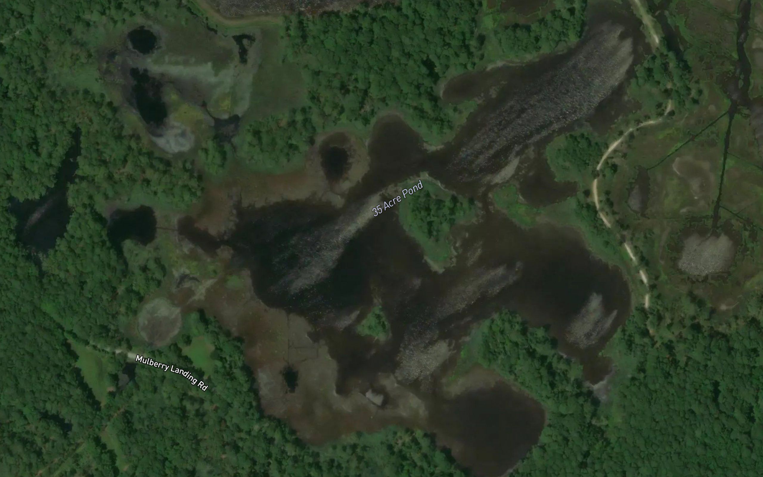Thirty-five Acre Pond