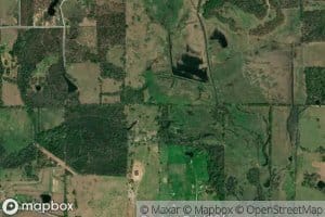 Alligator Creek