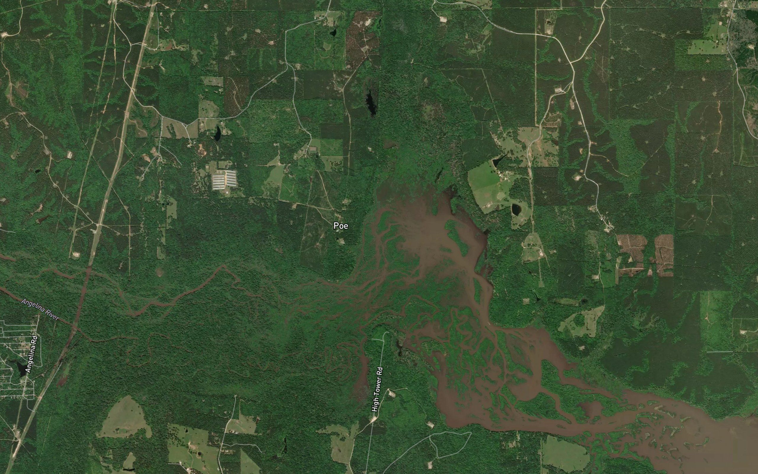 Boggy Slough