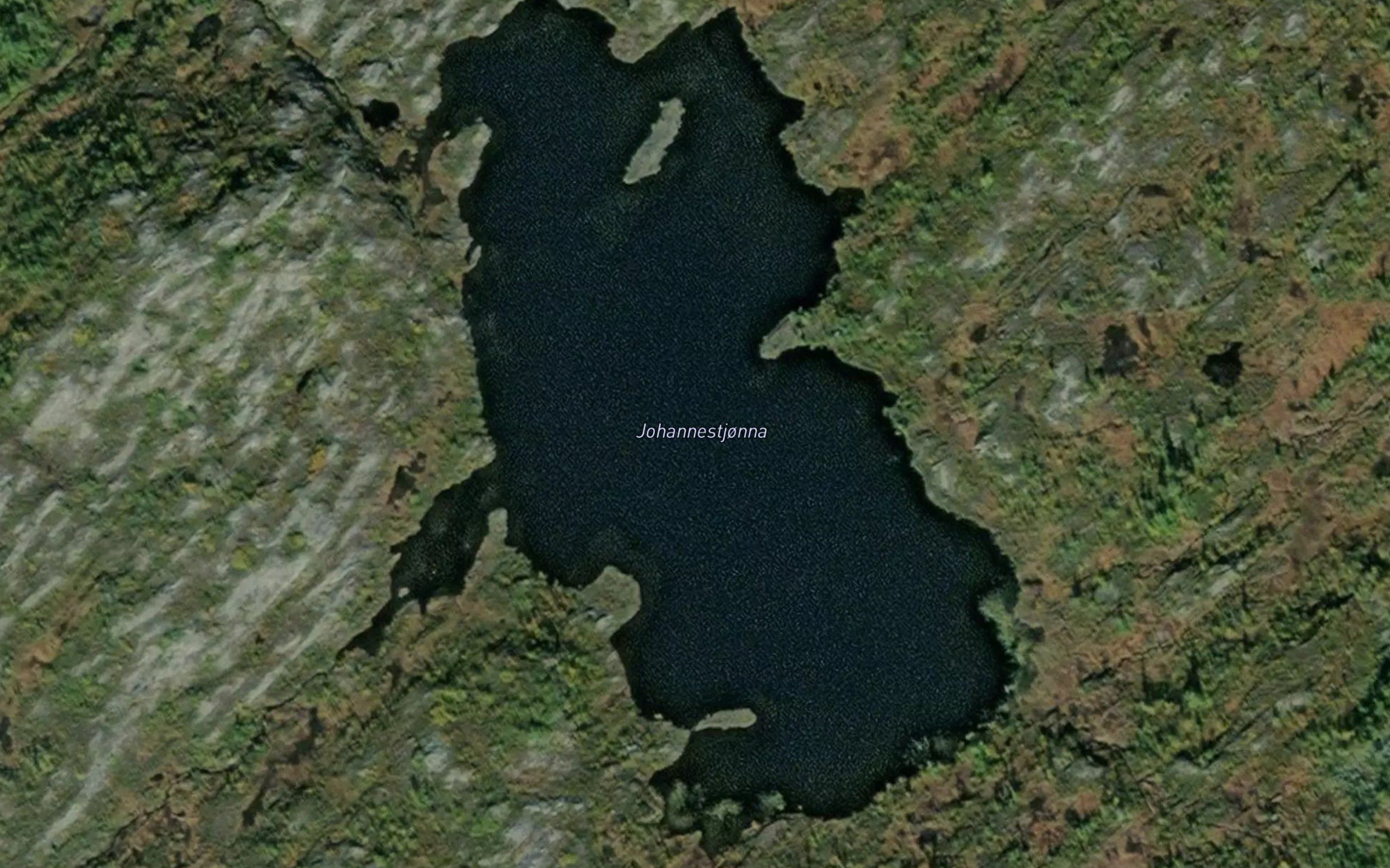 Johannestjonna
