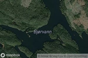 Bjorvann