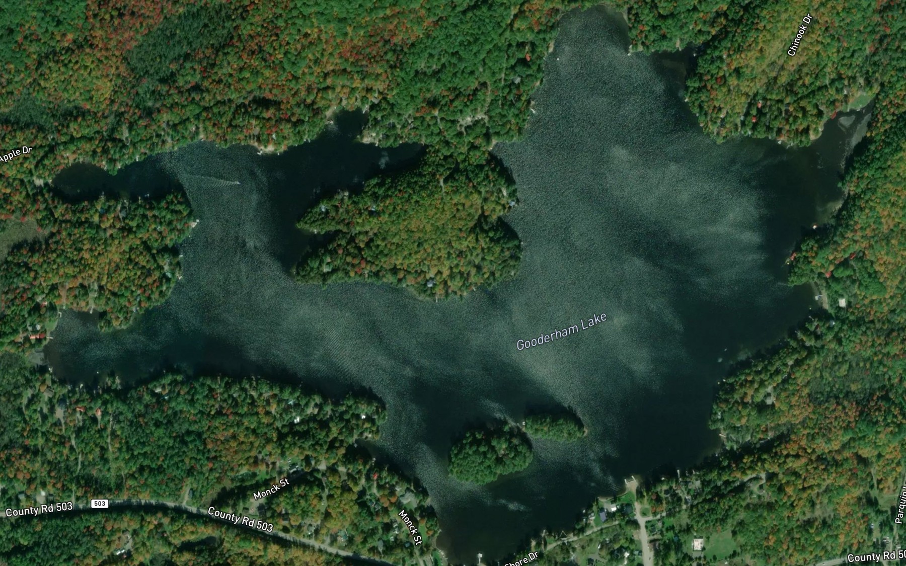 Satellite map of the Gooderham Lake