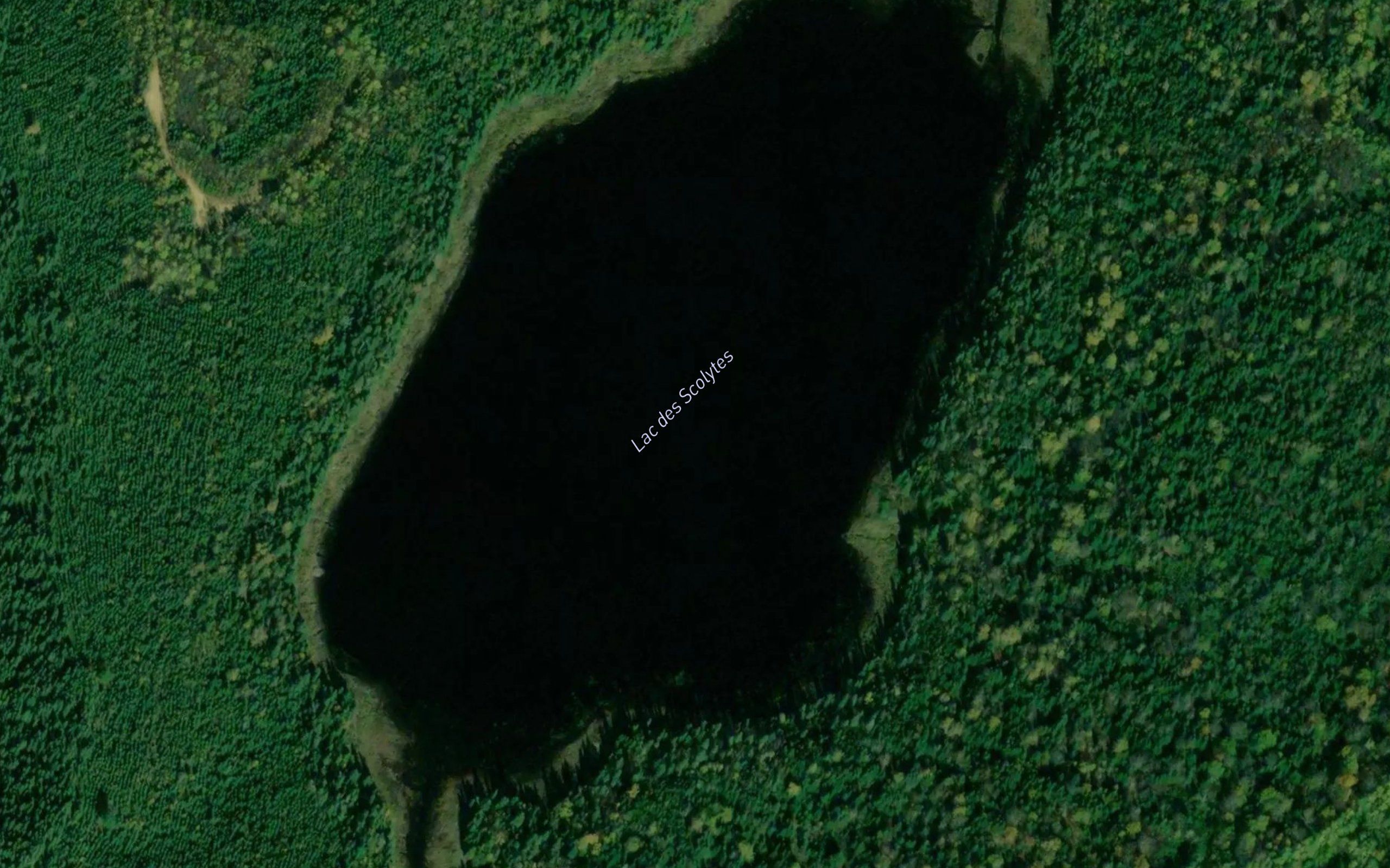 Lac des Scolytes