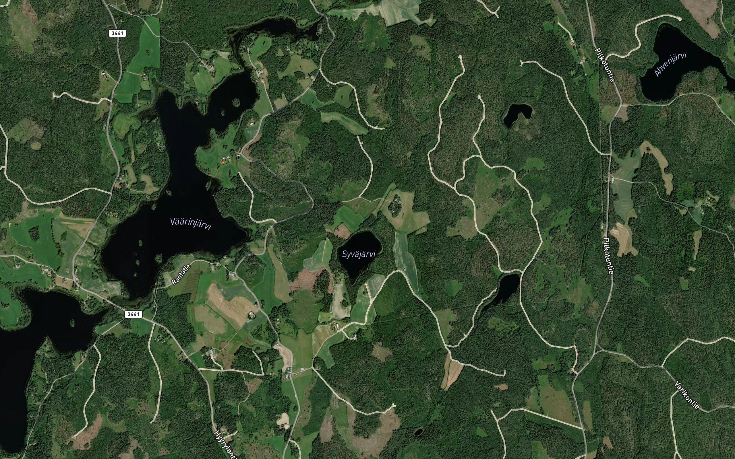 Hanhilamminoja