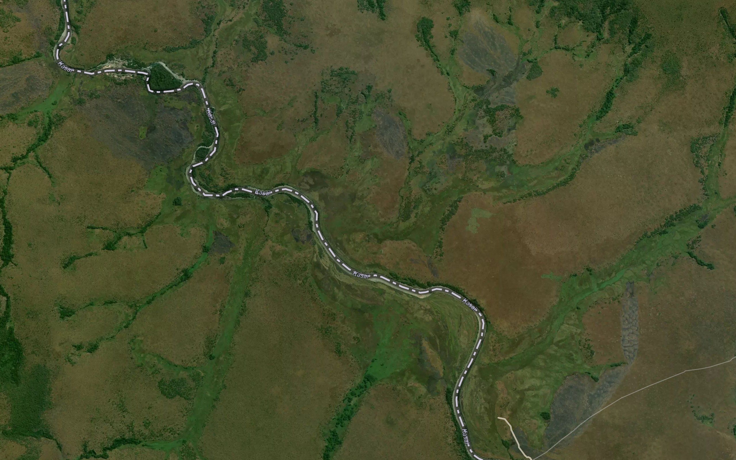 Mputa