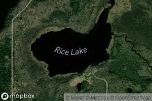 Rice Lake