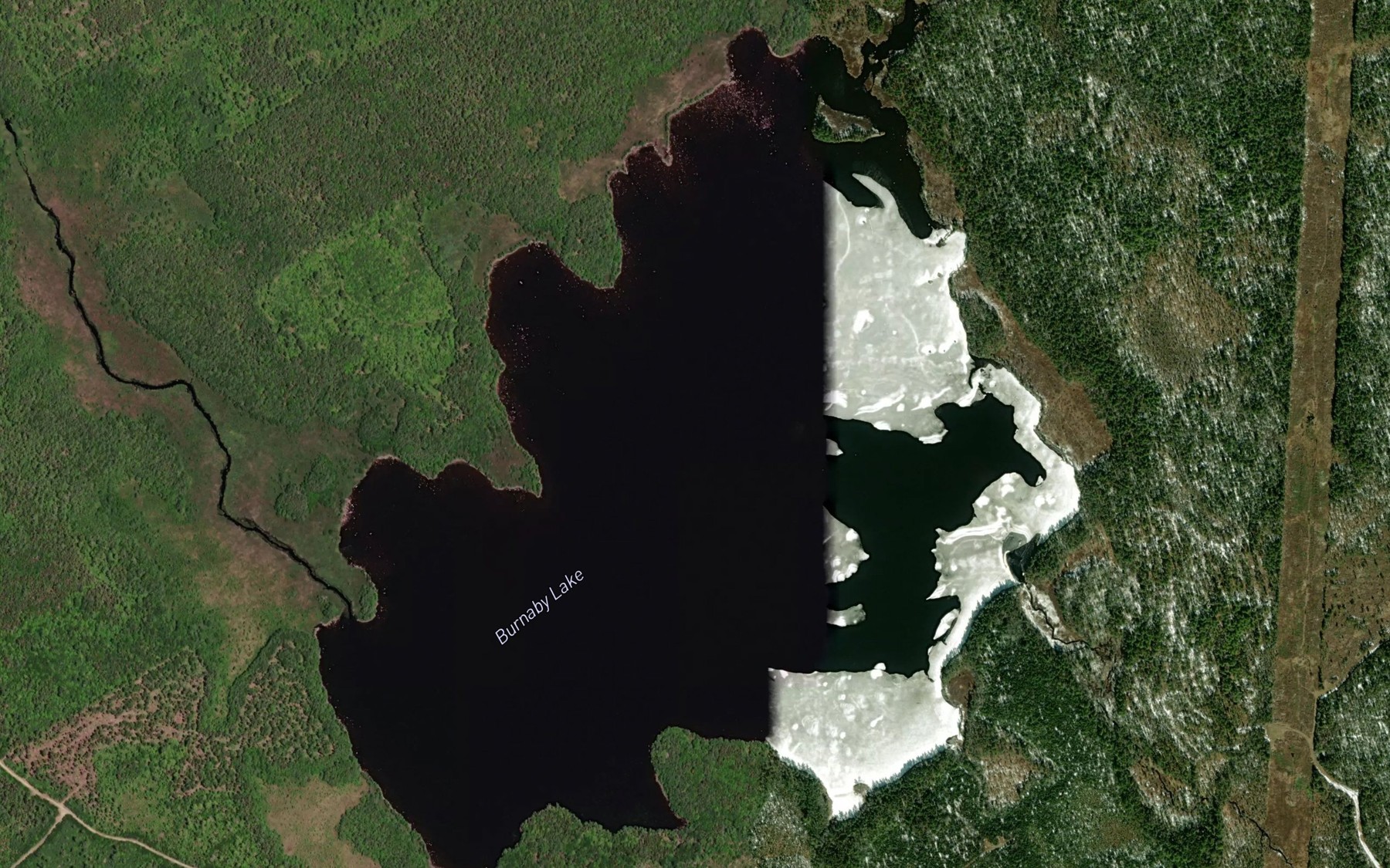 Satellite map of the Burnaby Lake