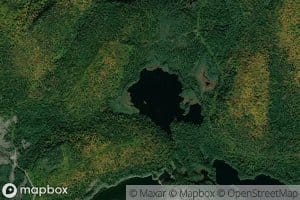 Lac Rabbit
