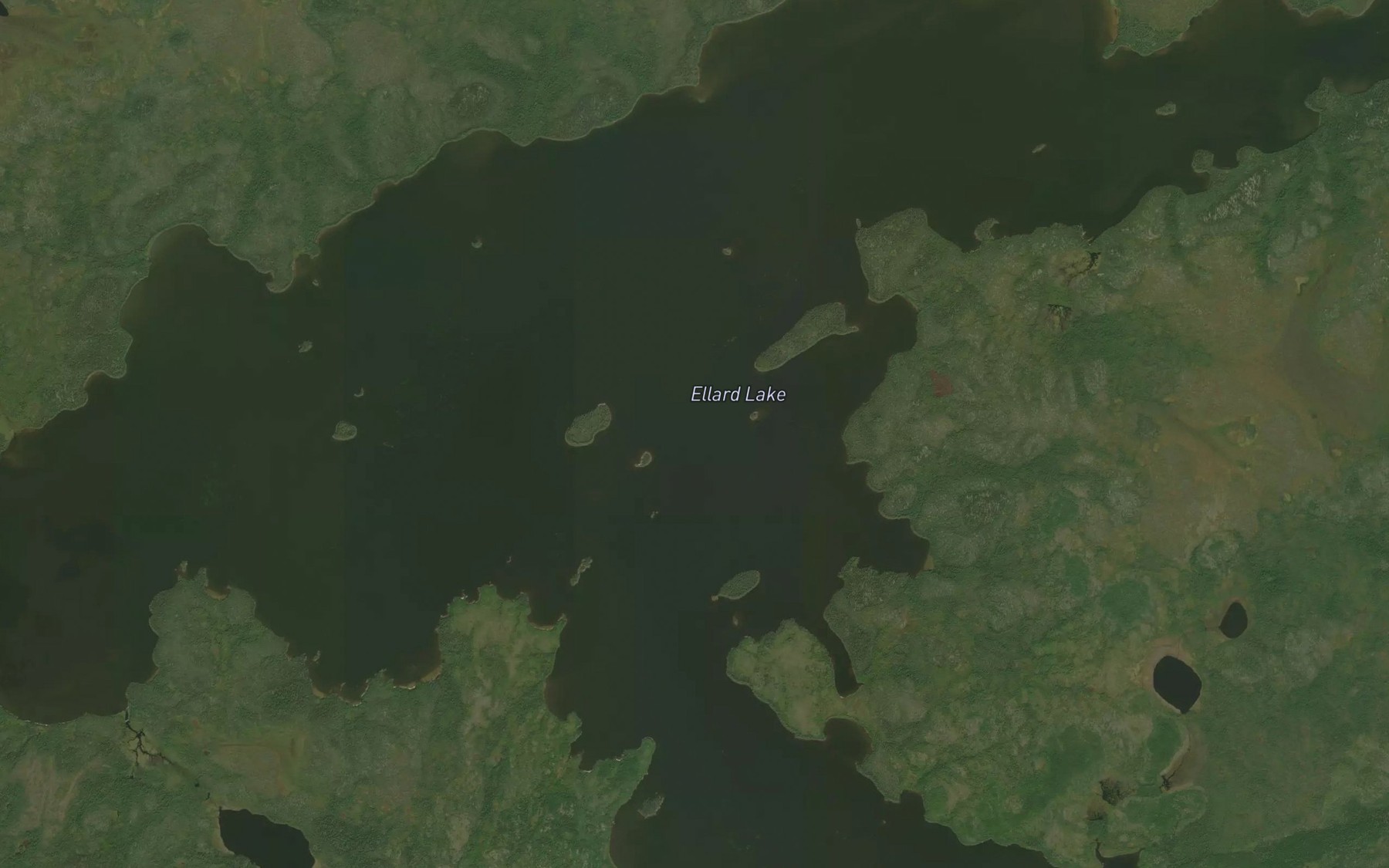 Satellite map of the Ellard Lake