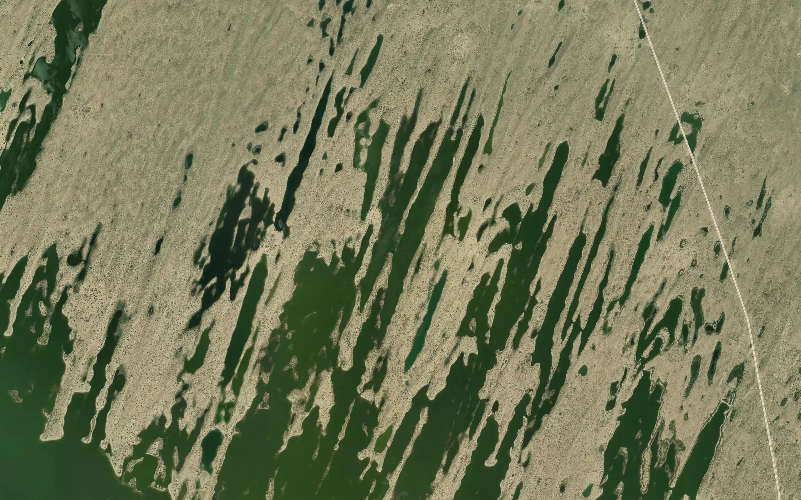 Parhanwari Dhand