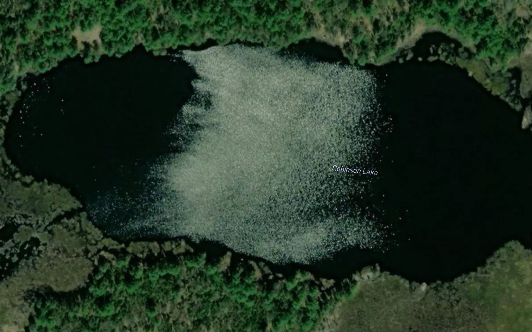 Satellite map of the Robinson Lake
