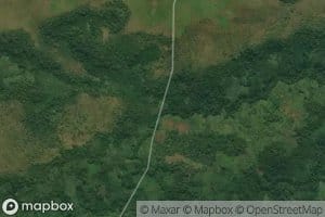 Mbibula