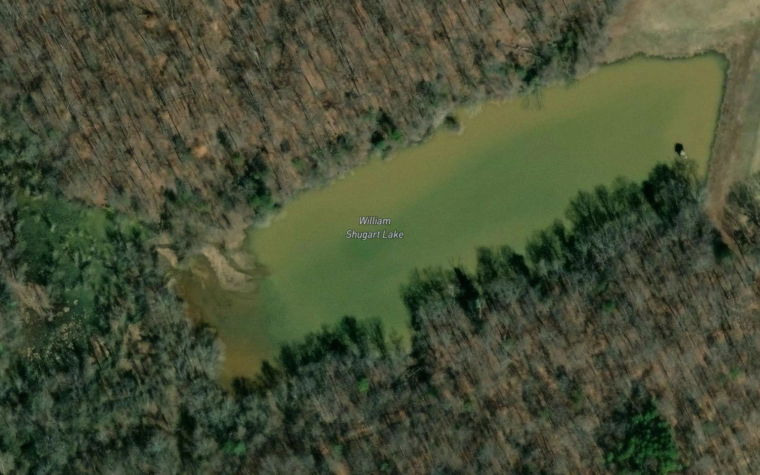 William Shugart Lake