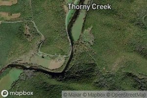 Thorny Creek