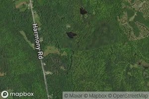 Meadow Brook