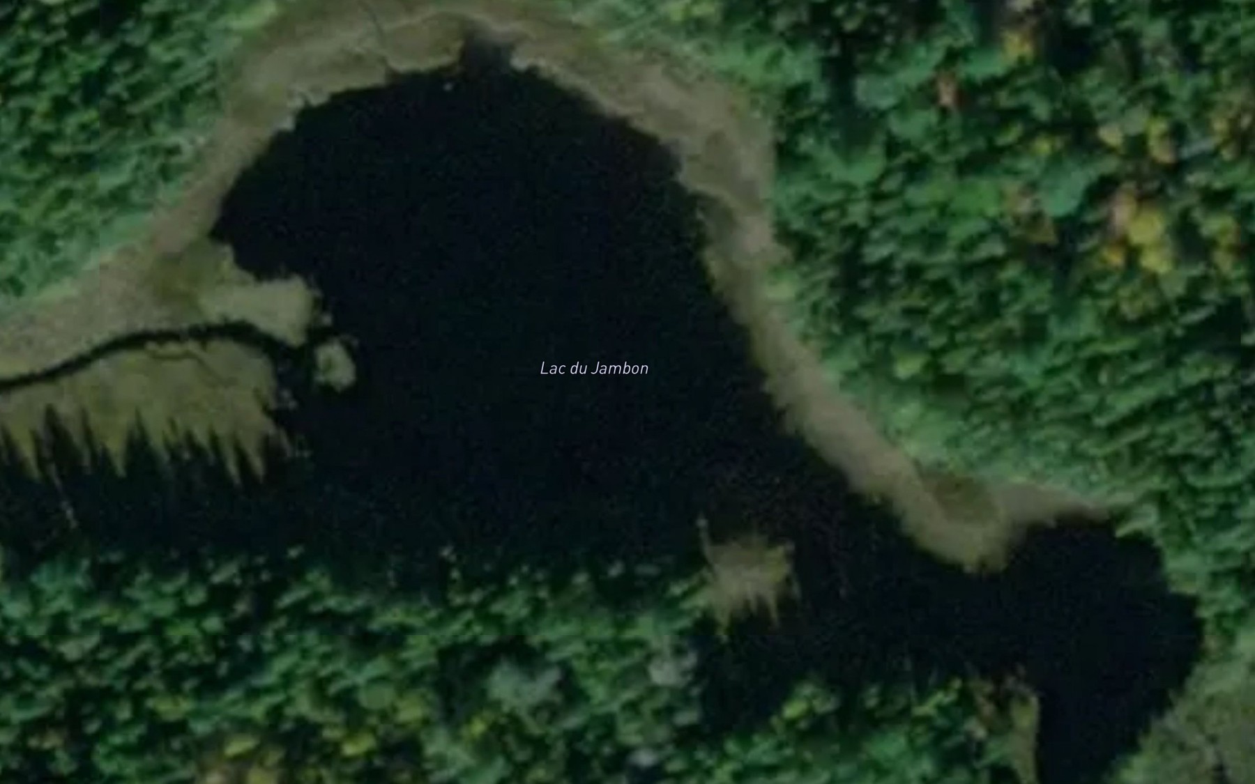 Satellite map of the Lac du Jambon
